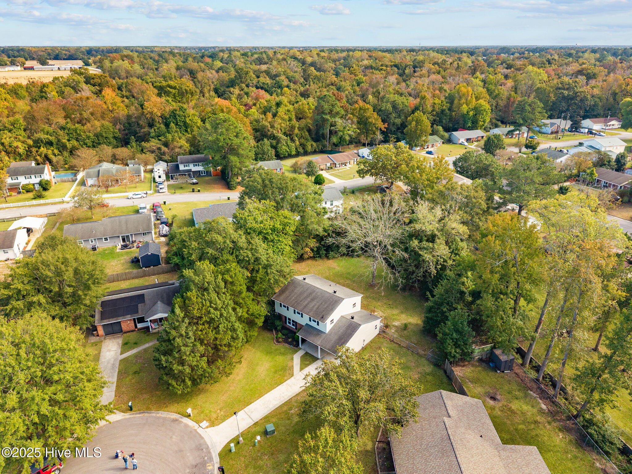 100539019 | Photo 40