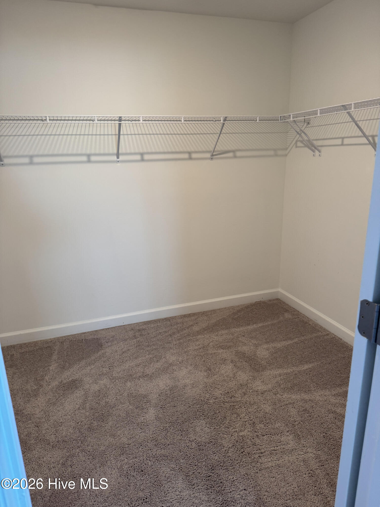 100561884 | Photo 49