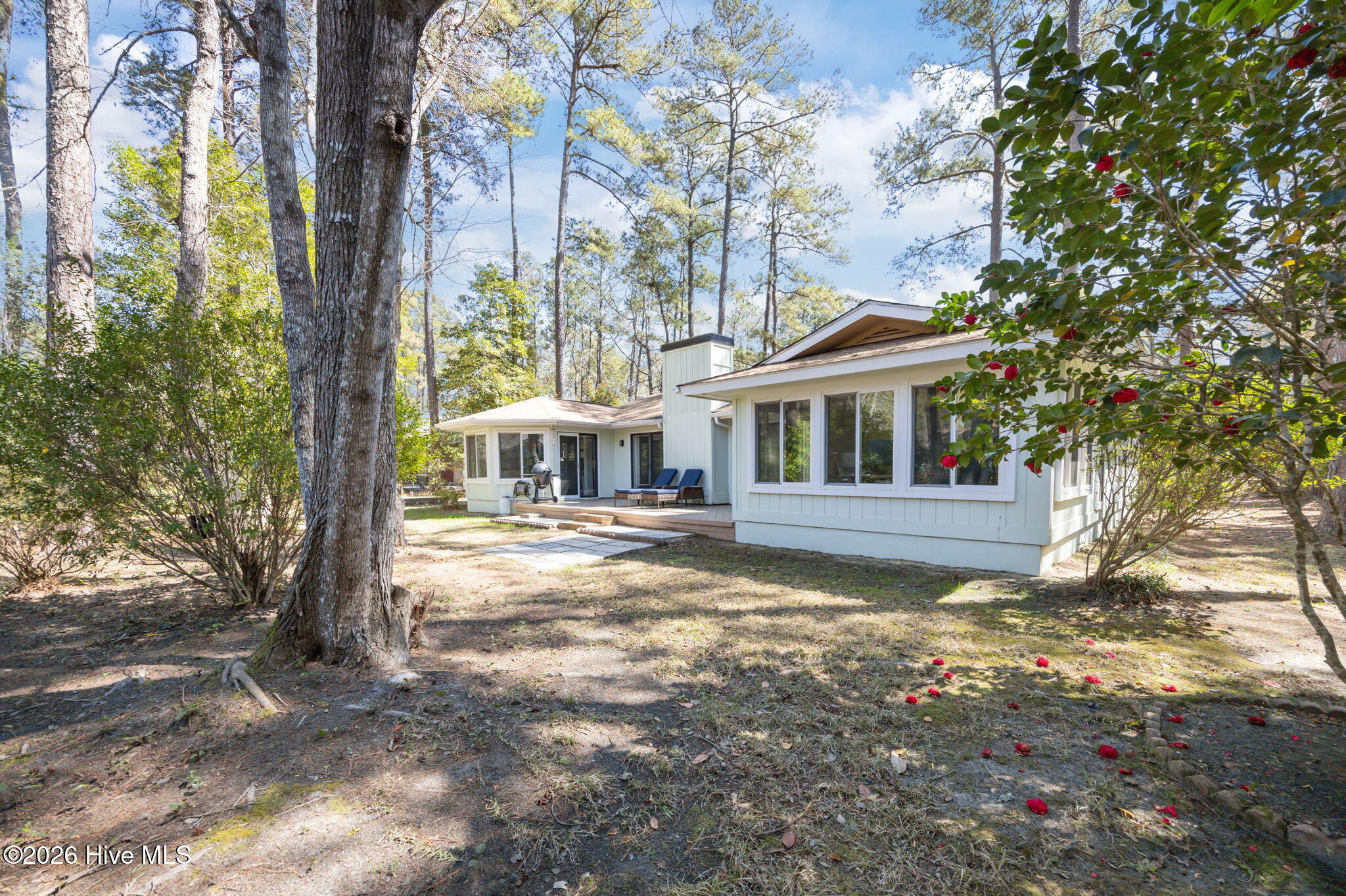 100561214 | Photo 39