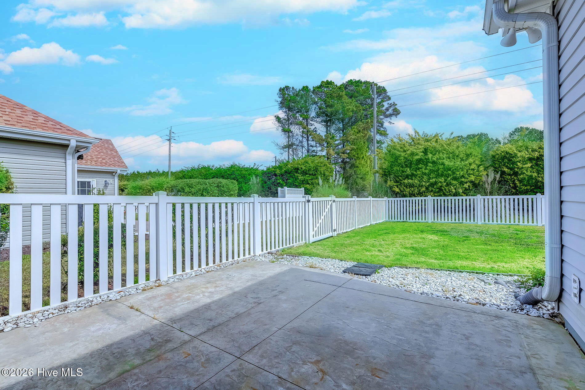 100563613 | Photo 32