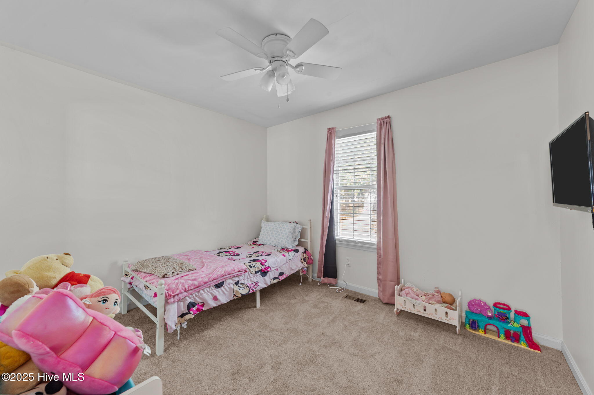 100533176 | Photo 23