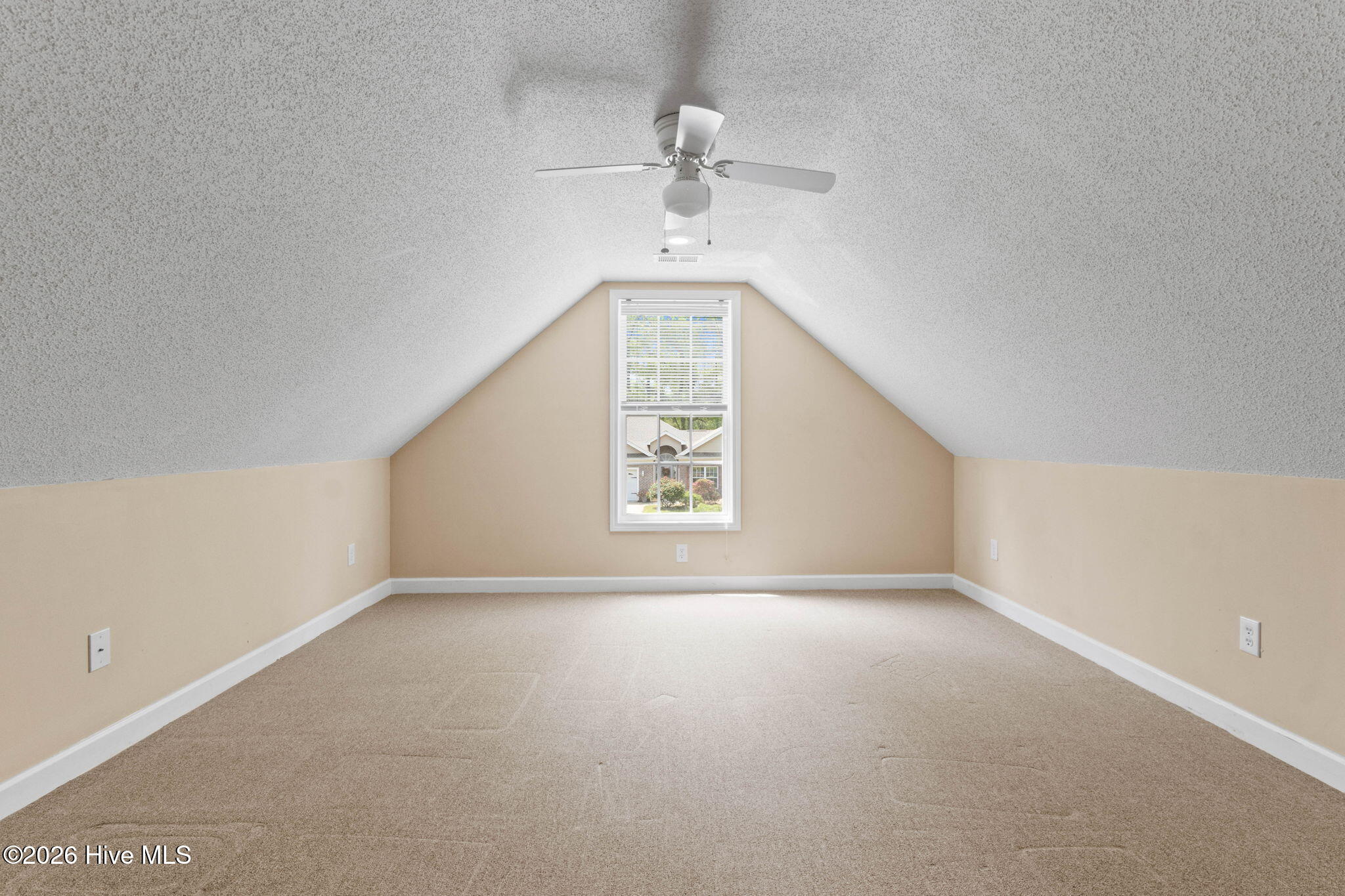 100566520 | Photo 23