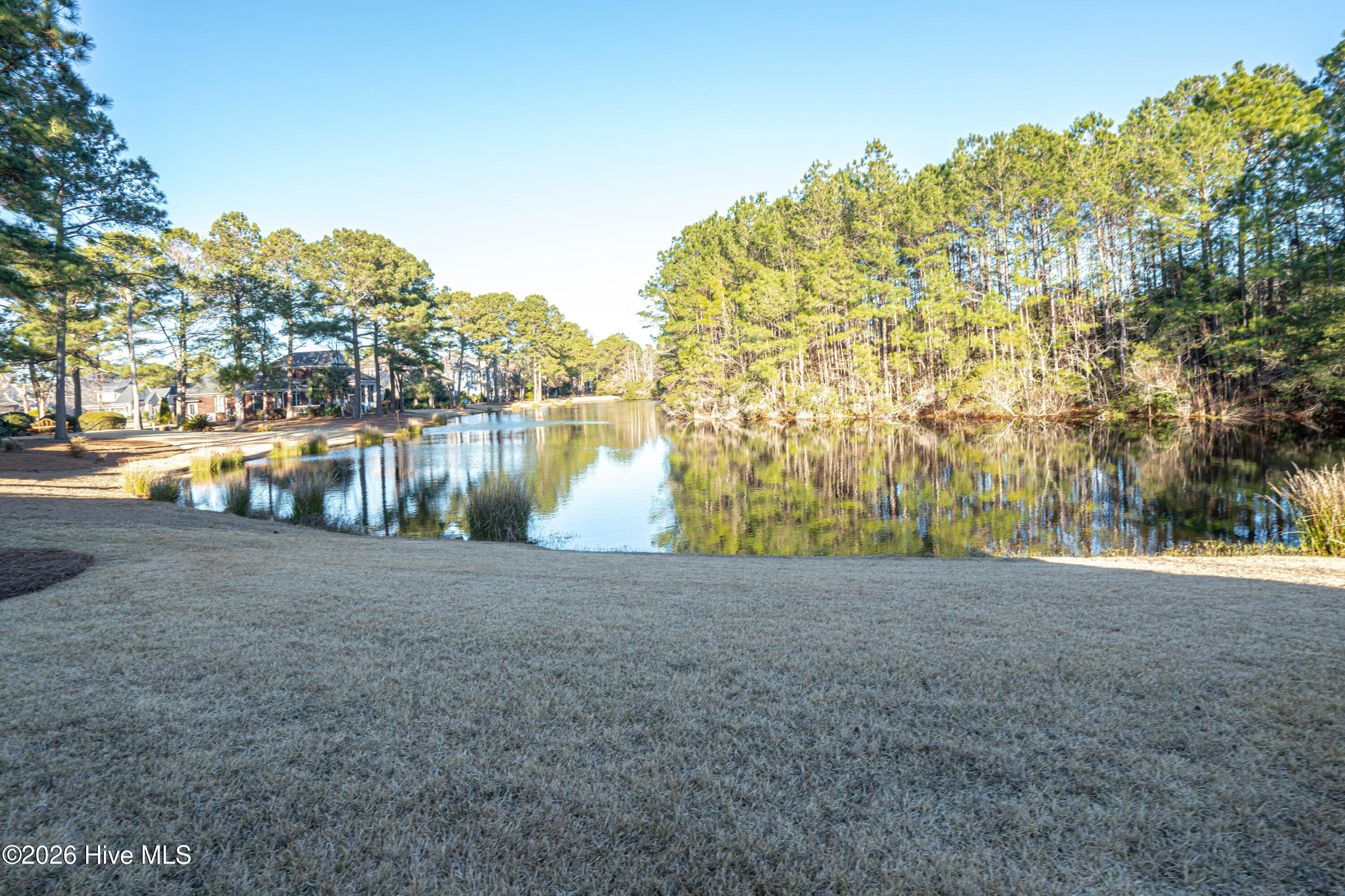 100550389 | Photo 79