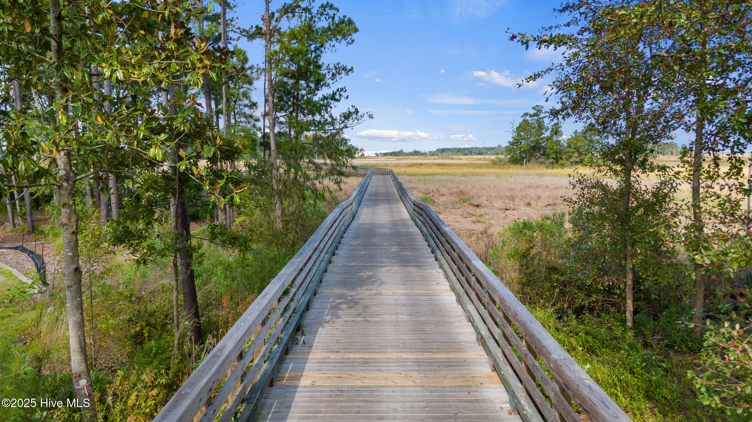 228 Preservation Point Avenue, Wilmington, NC, 28401