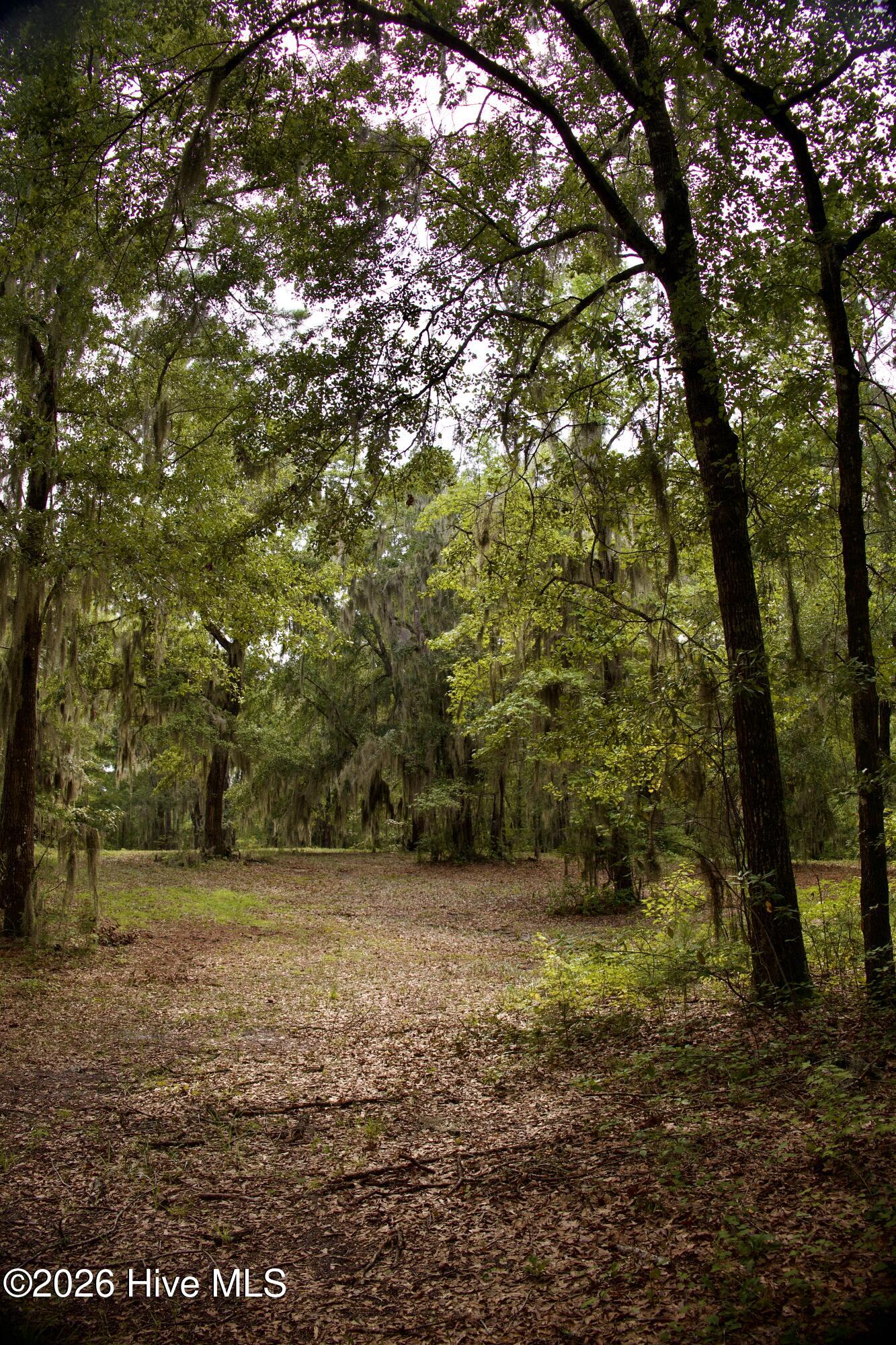 385 Sand Ridge Road,New Bern