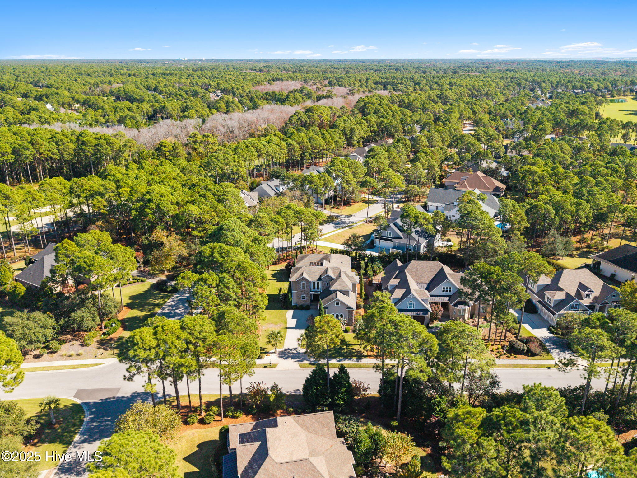 100540302 | Photo 82