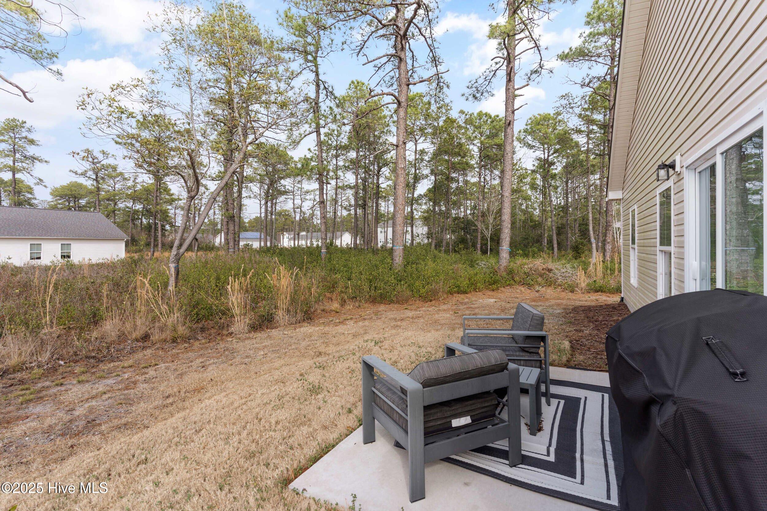 100546616 | Photo 30