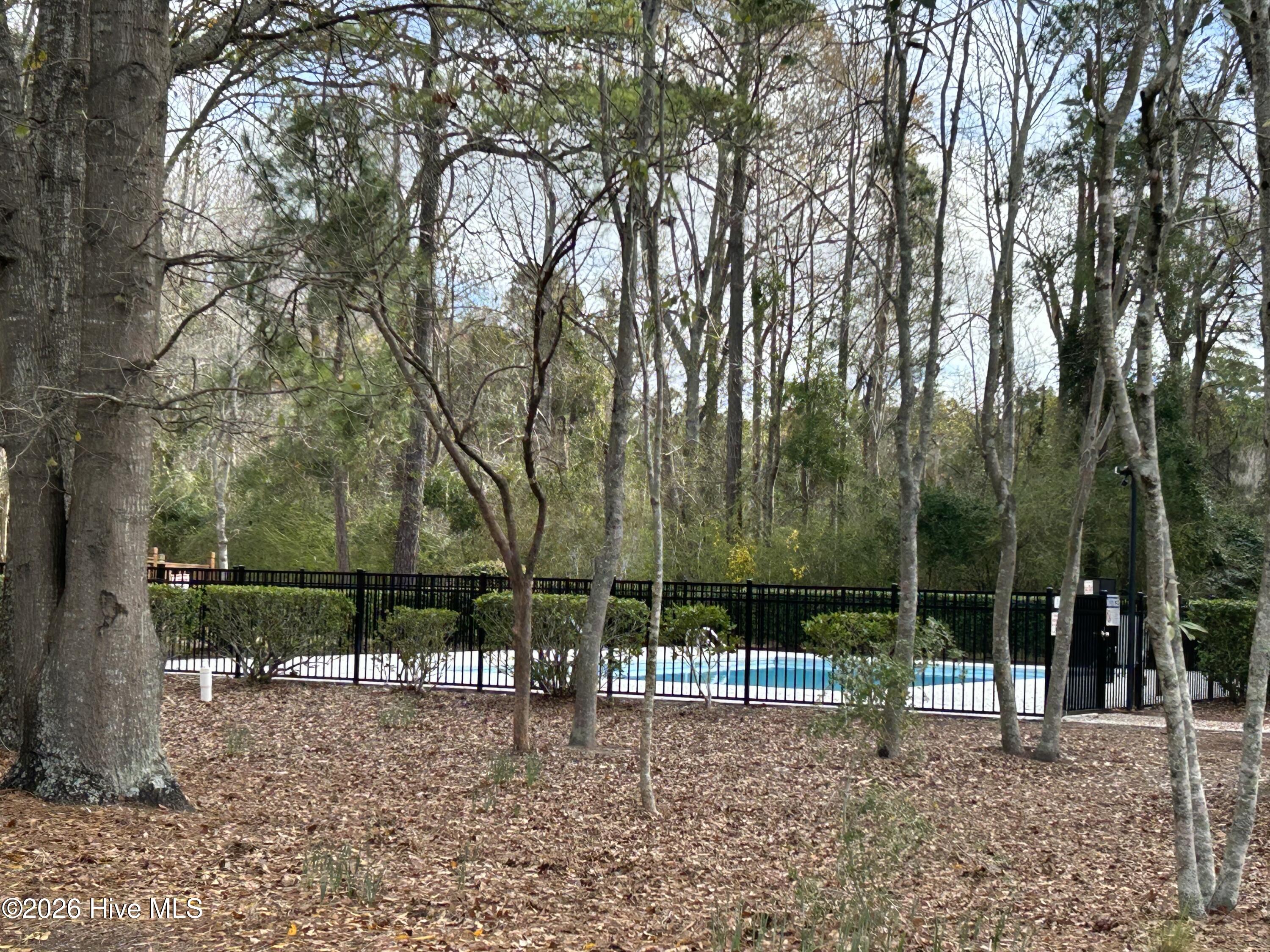 100556332 | Photo 32