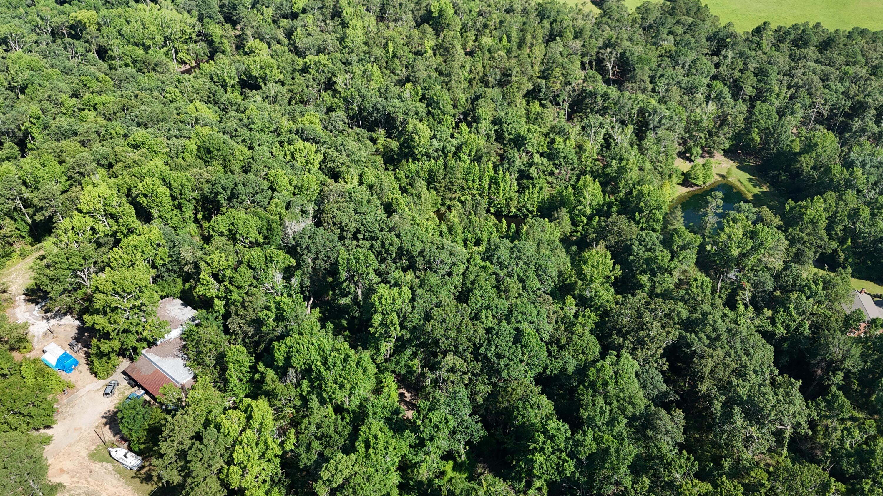 2039 Mcdade Farm Road, Hephzibah, GA, 30815