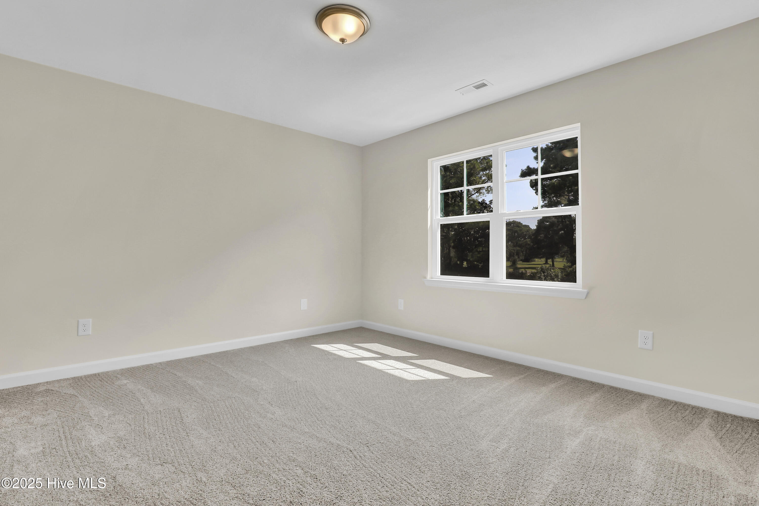 100488784 | Photo 19