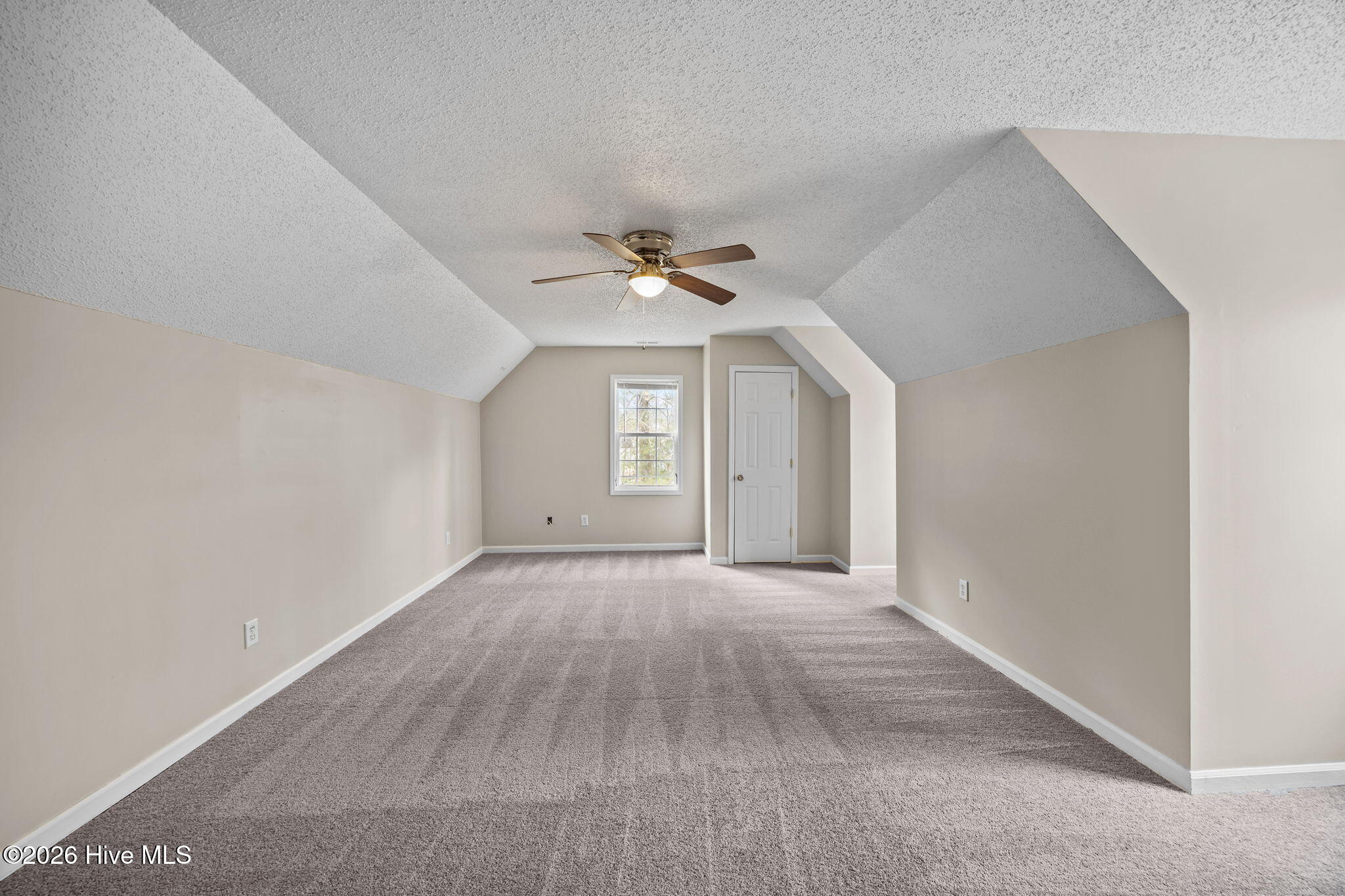 100556691 | Photo 16