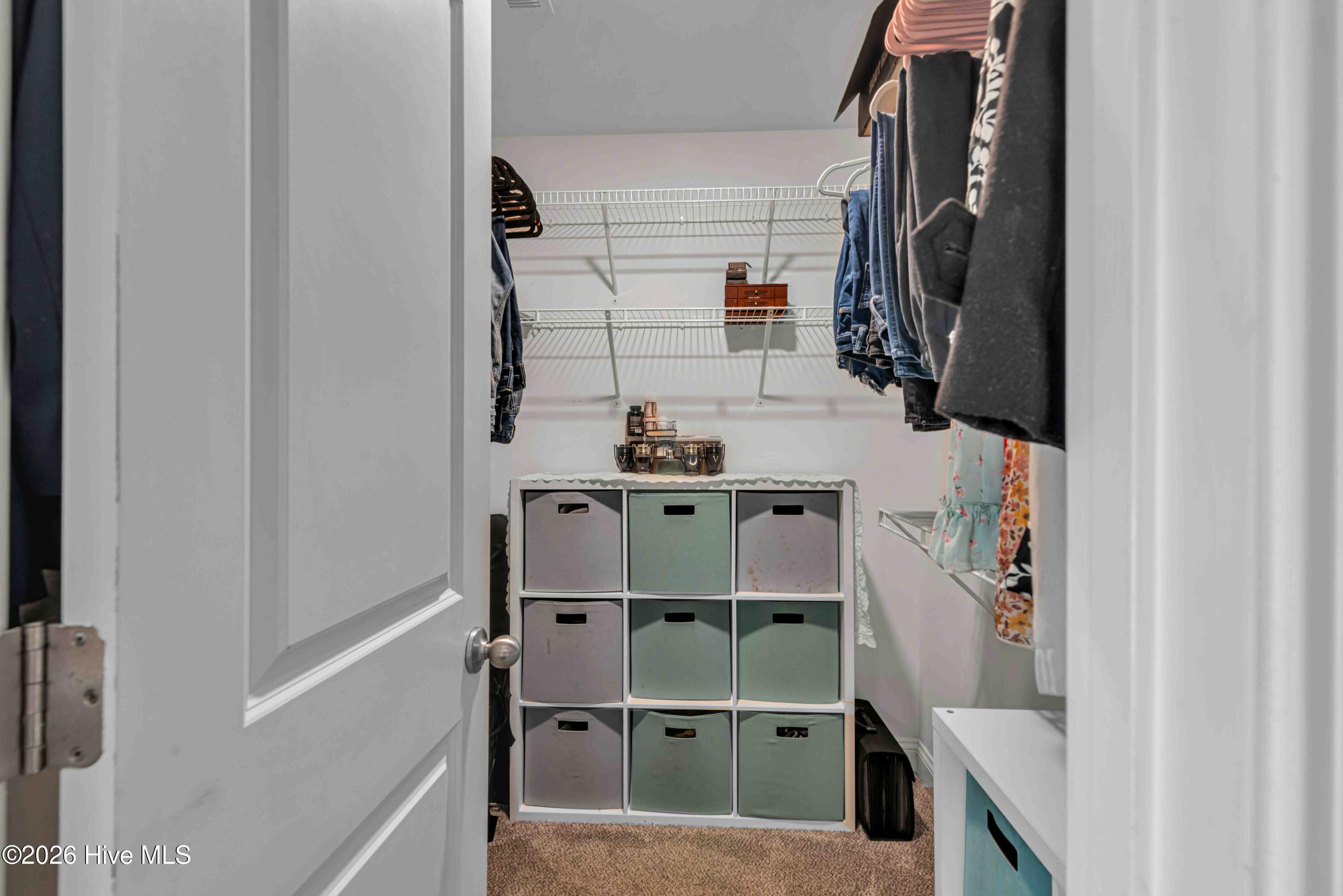 100558527 | Photo 23