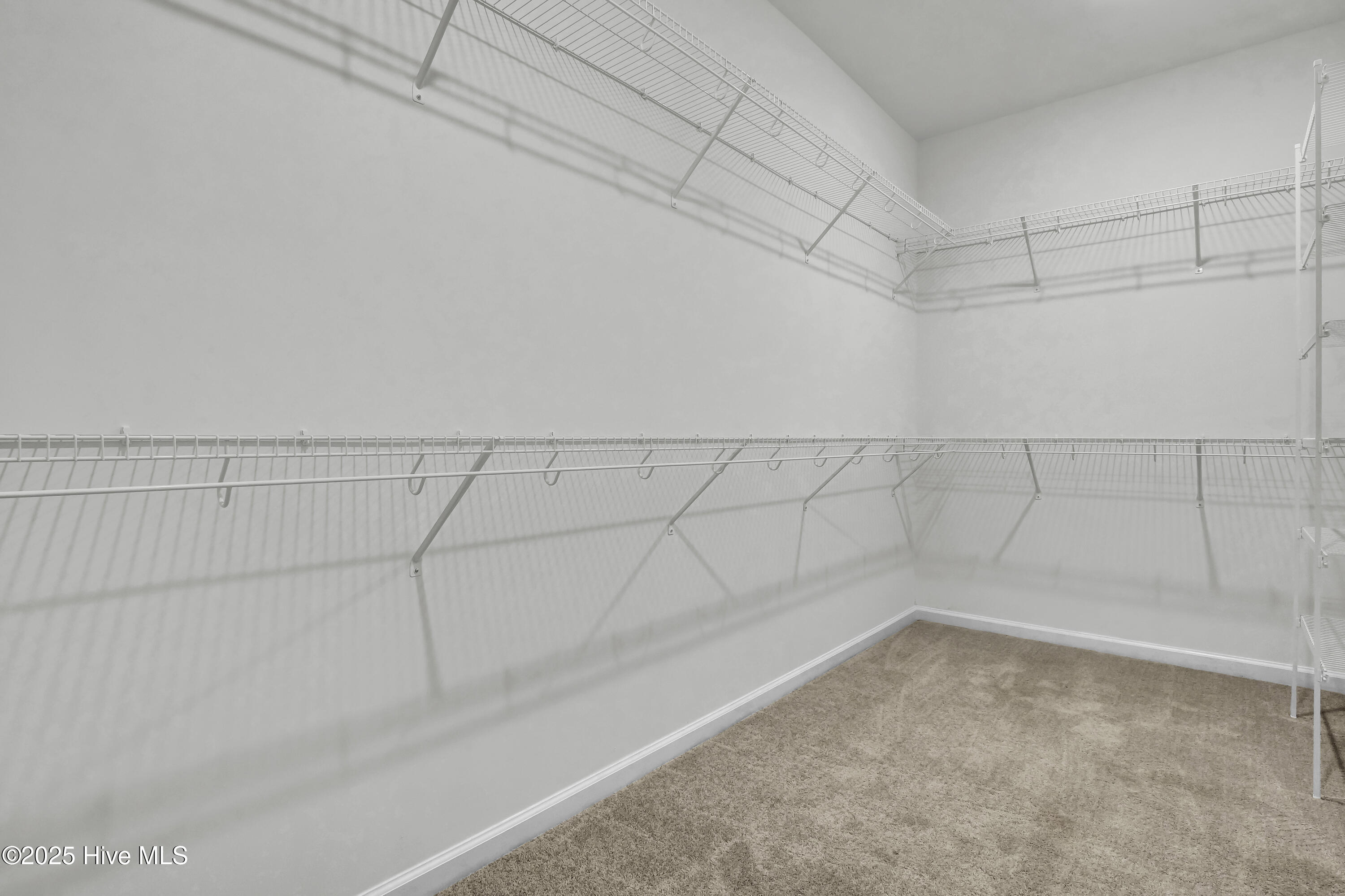 100551524 | Photo 18