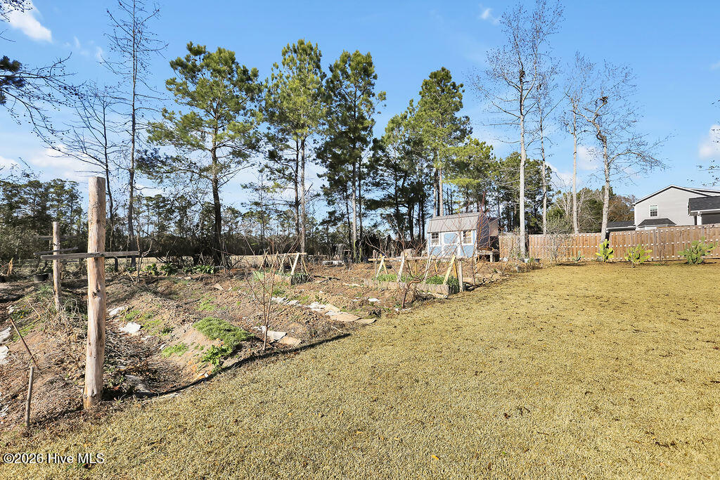 100548902 | Photo 34