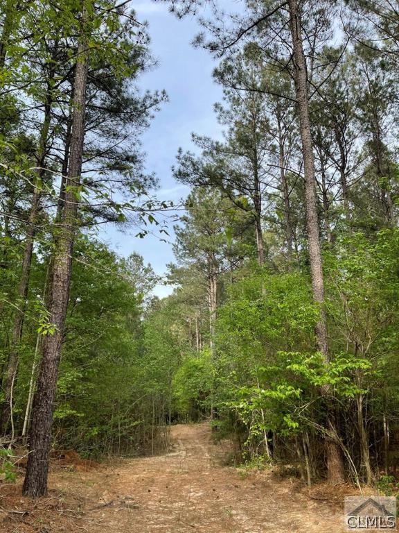 C.E. Norman Road, Lincolnton, GA 30817 Listing Photo  12