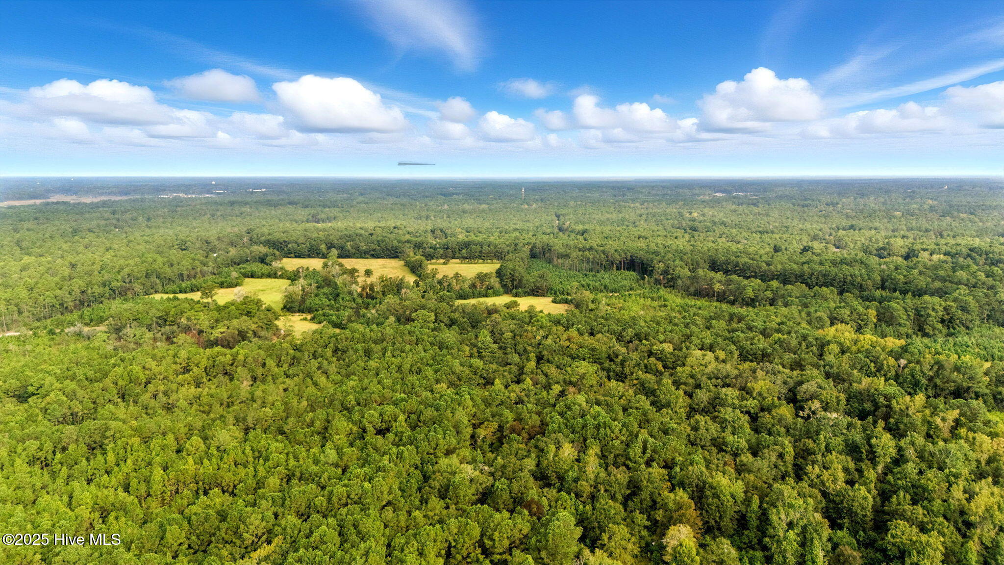 100526805 | Photo 20