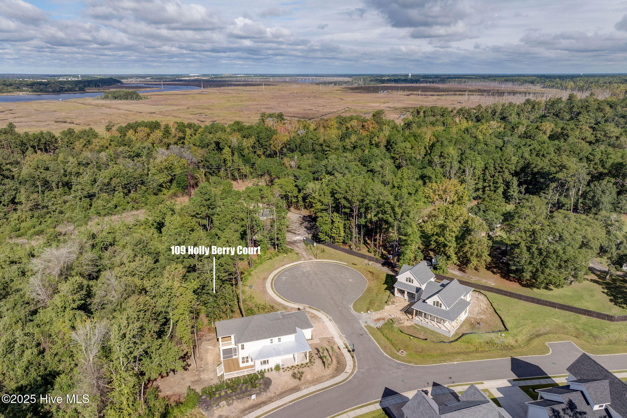 100537676 | Photo 10