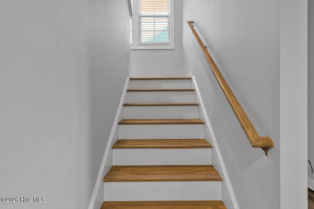 100548703 | Photo 16