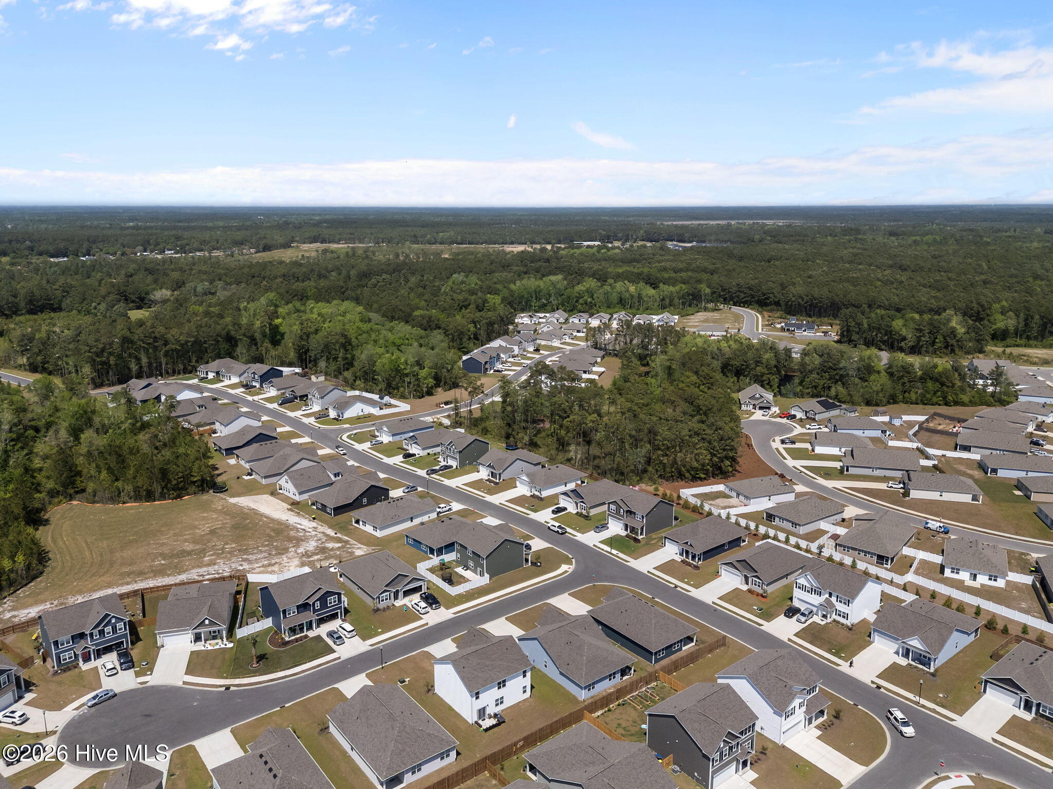 100567889 | Photo 47