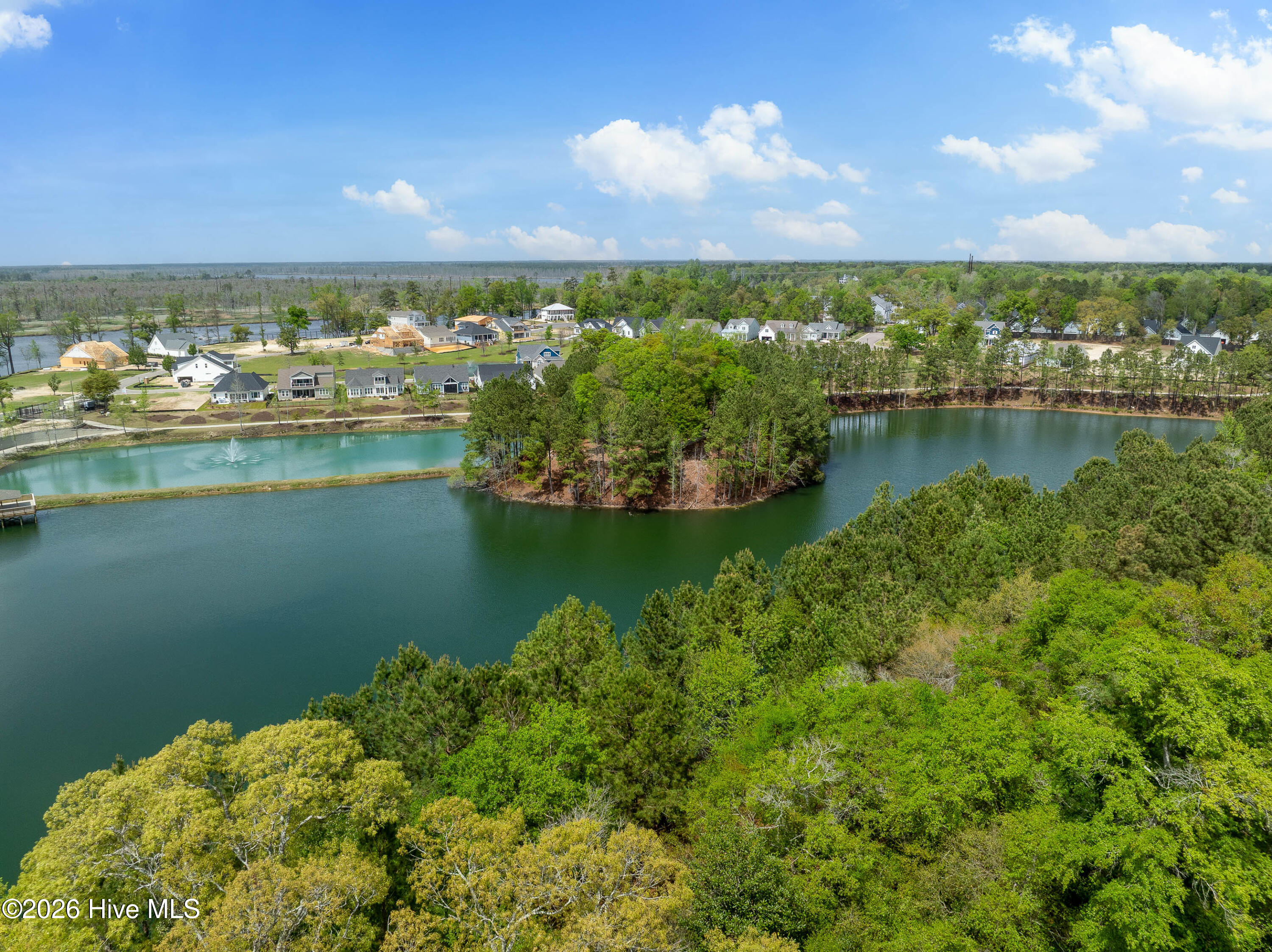 100567937 | Photo 13