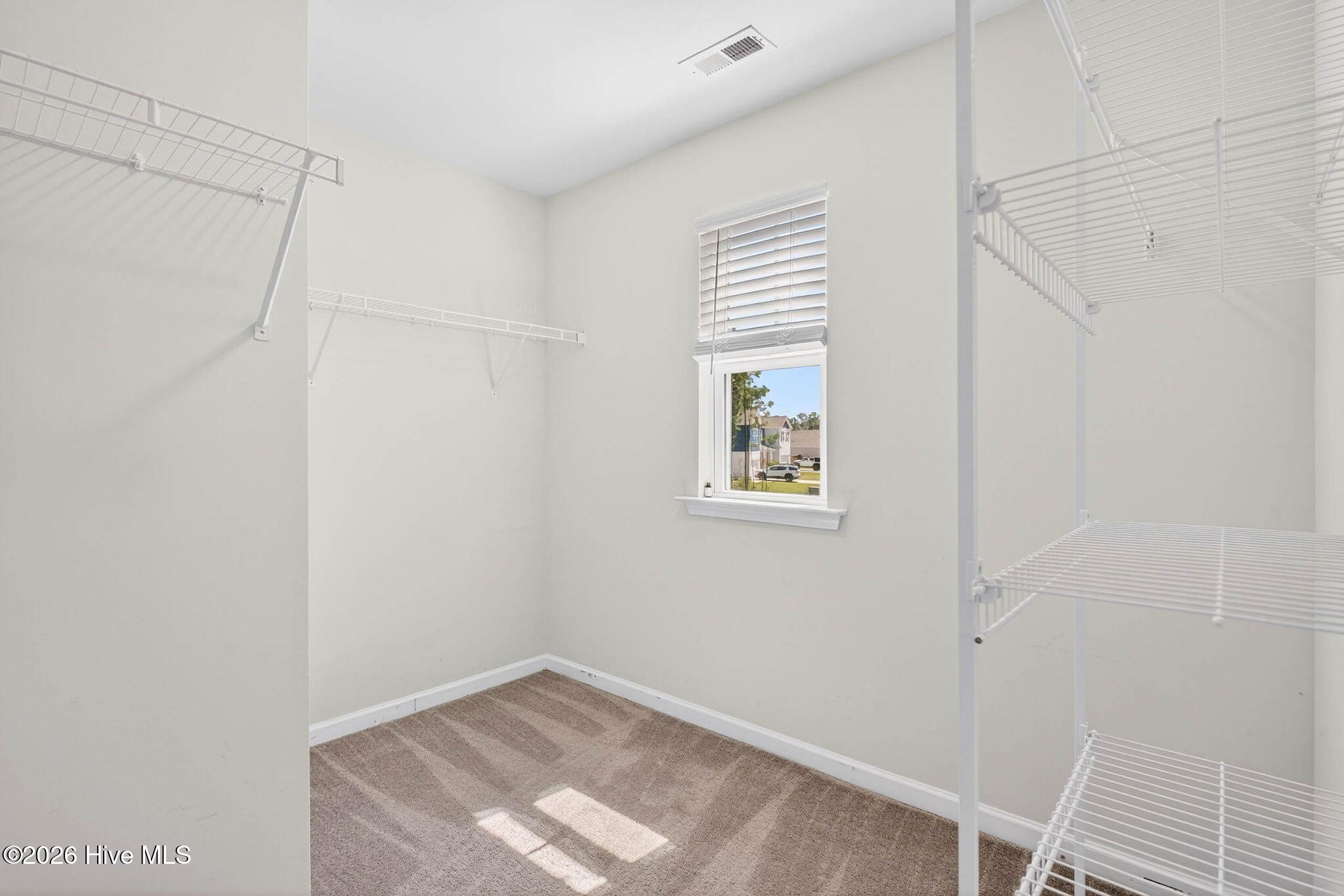 100564193 | Photo 32