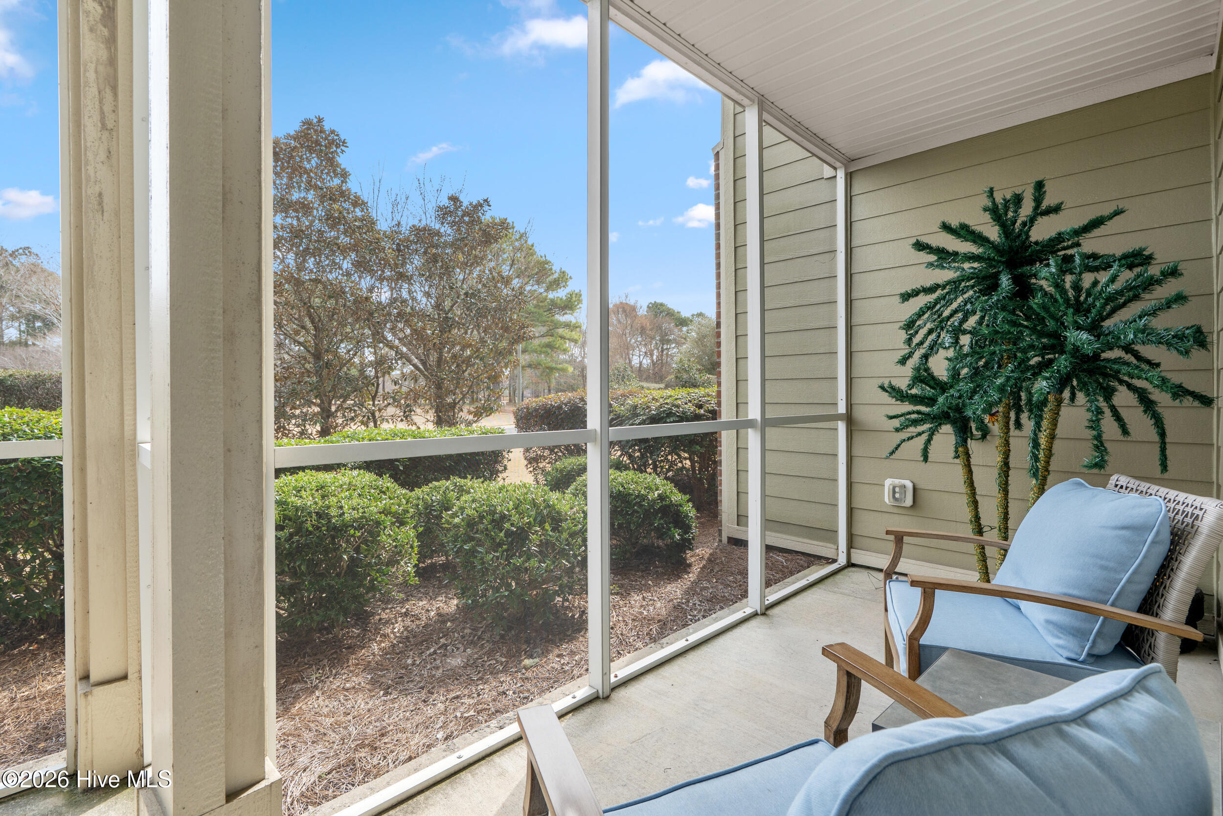 100556041 | Photo 26