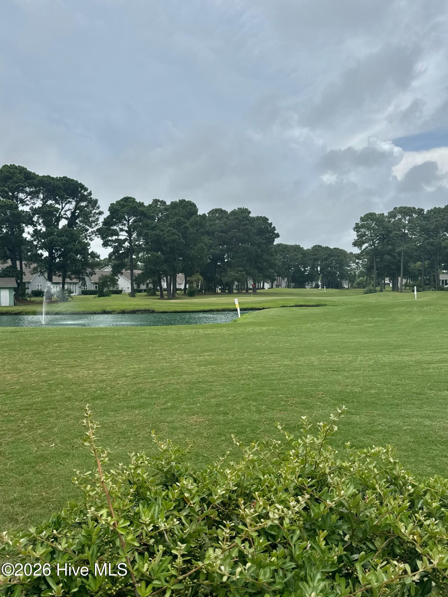 100554520 | Photo 28