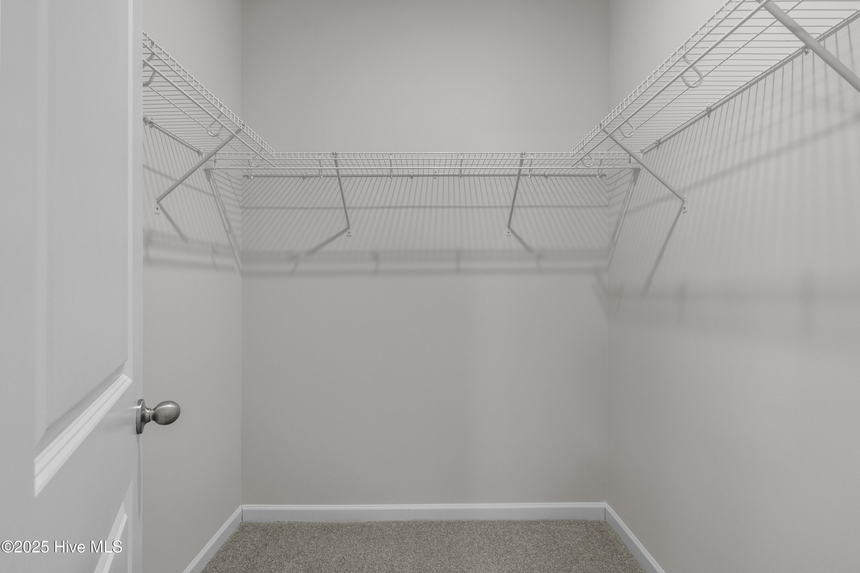 100536974 | Photo 22