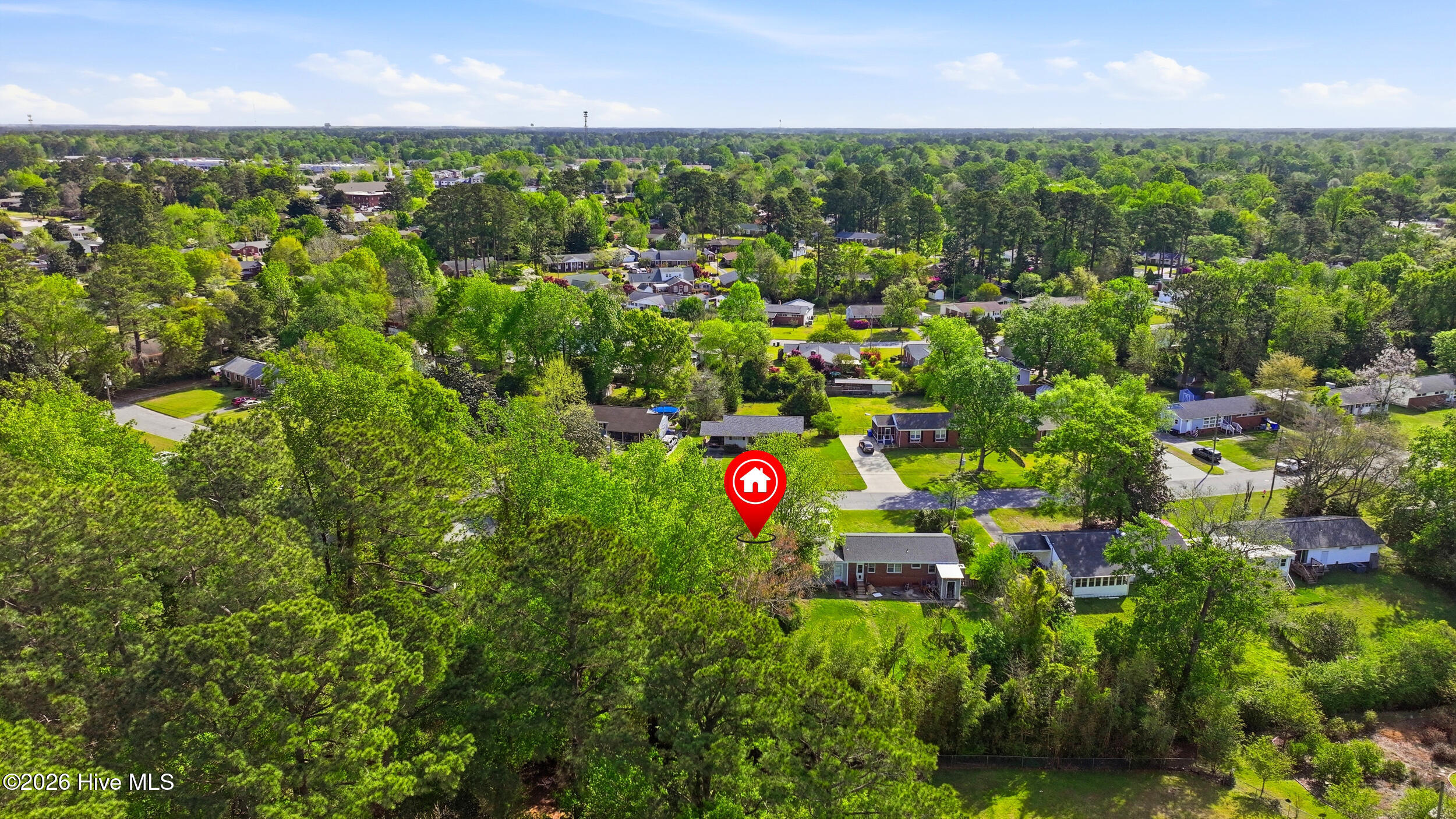 100566125 | Photo 47