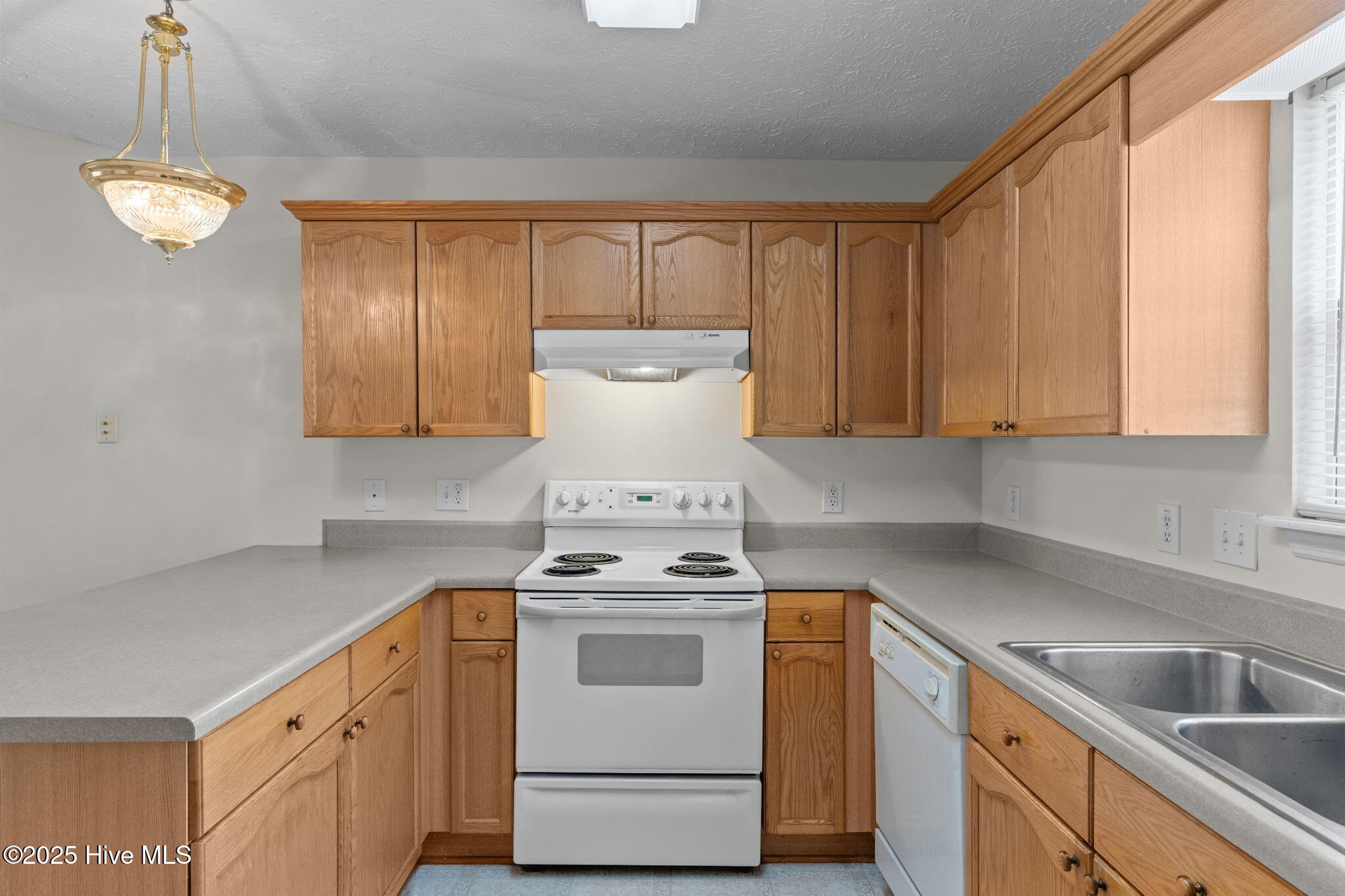 100526319 | Photo 25