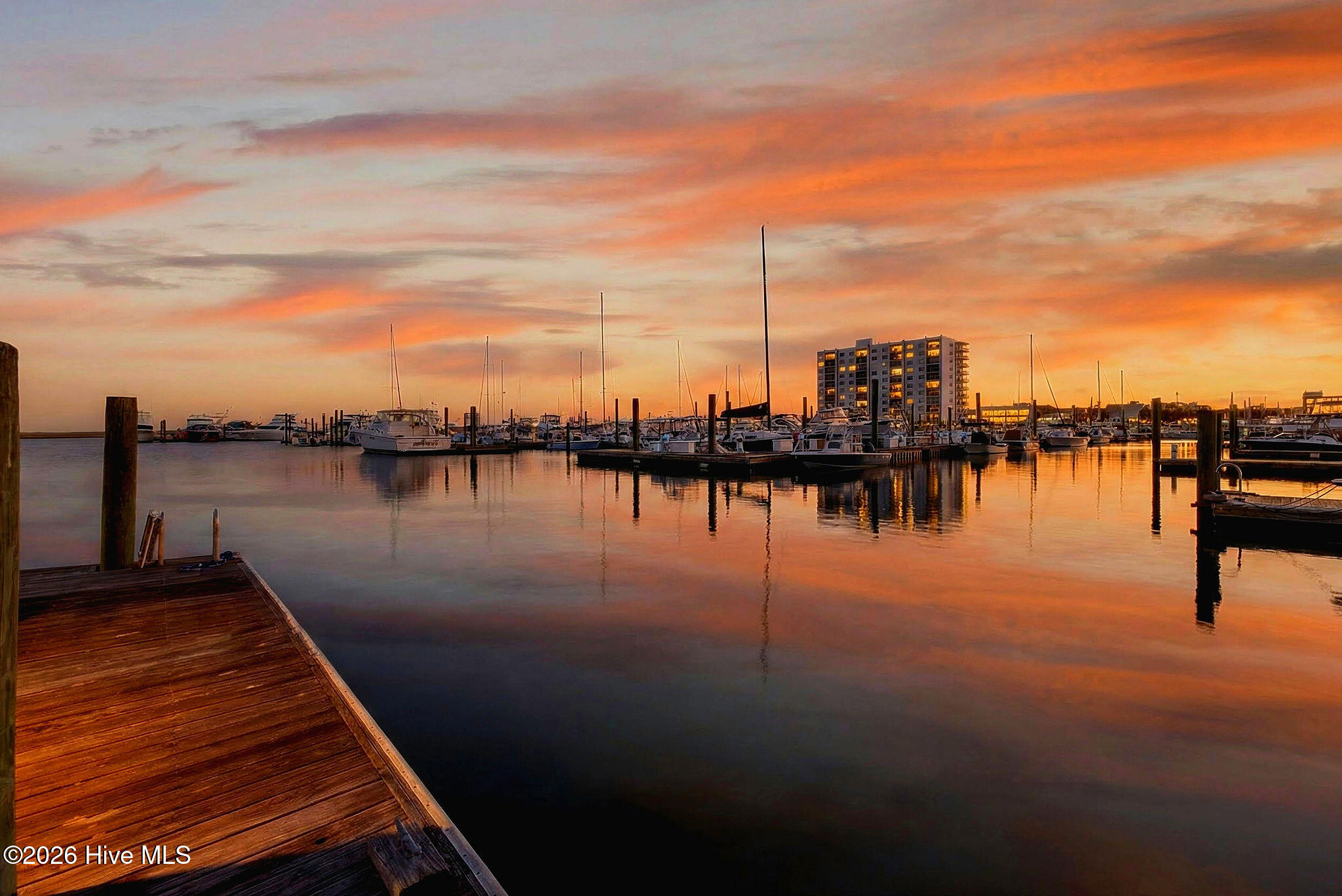 100547767 | Photo 23