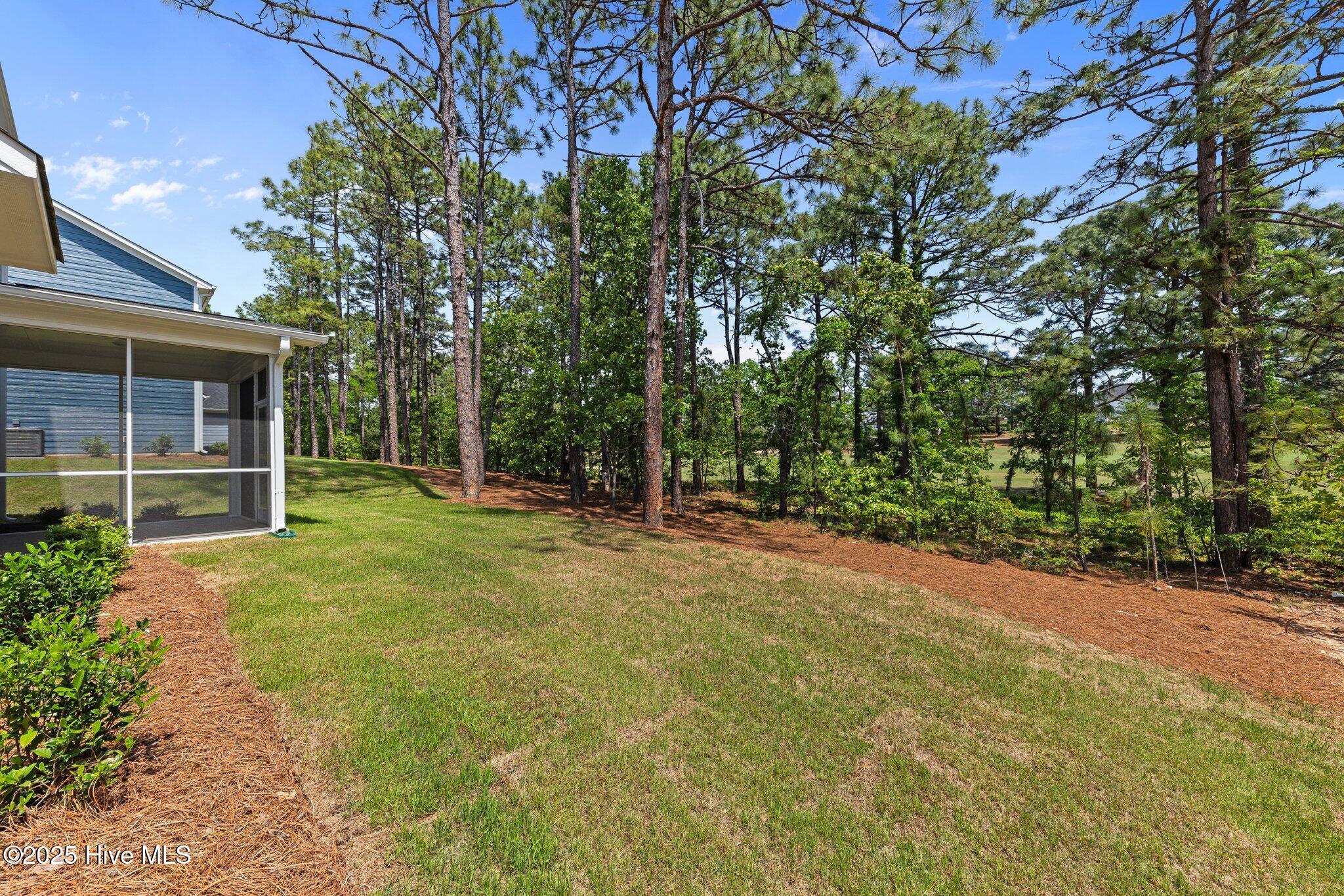 45-web-or-mls-707A8403