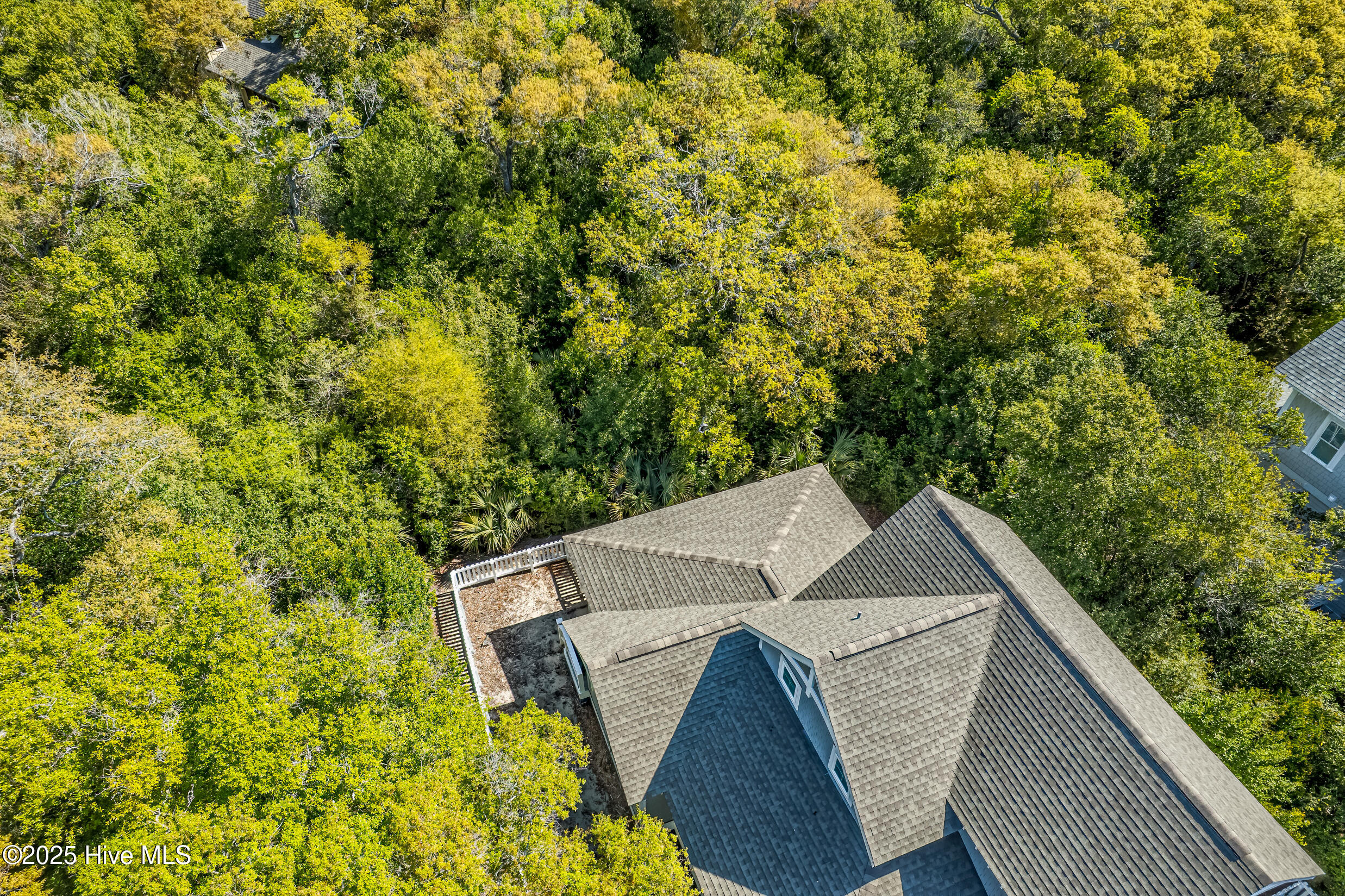 100501018 | Photo 54