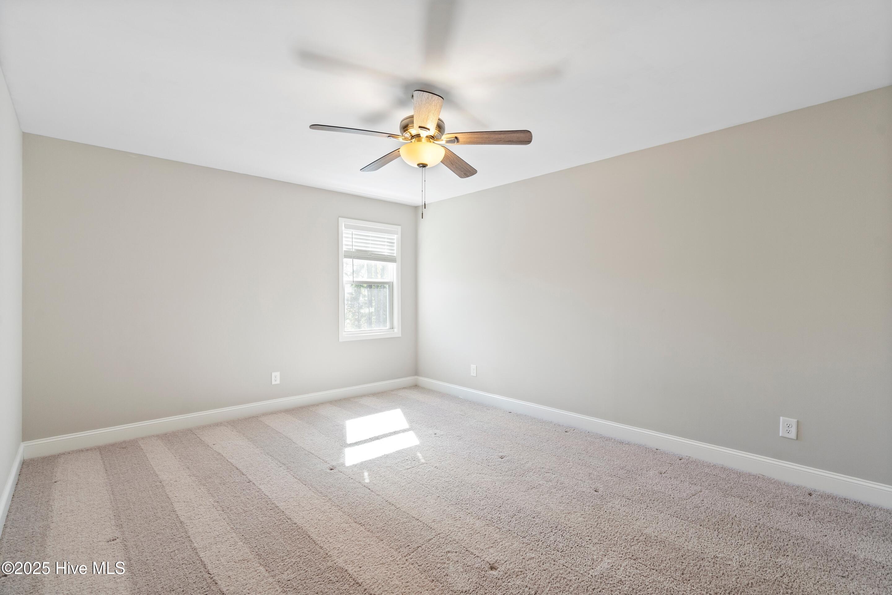 100538952 | Photo 30