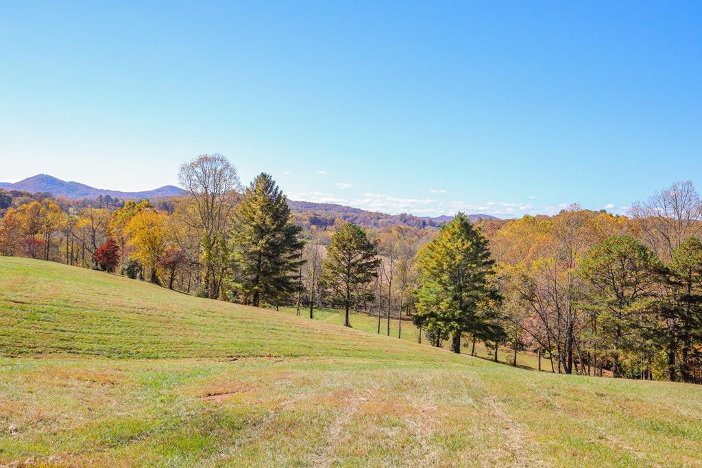 Listing Photo 98511514