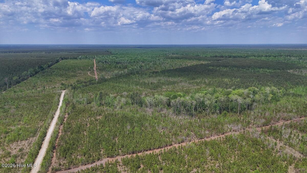 0 Guinea Mill Road, Ernul, NC, 28527