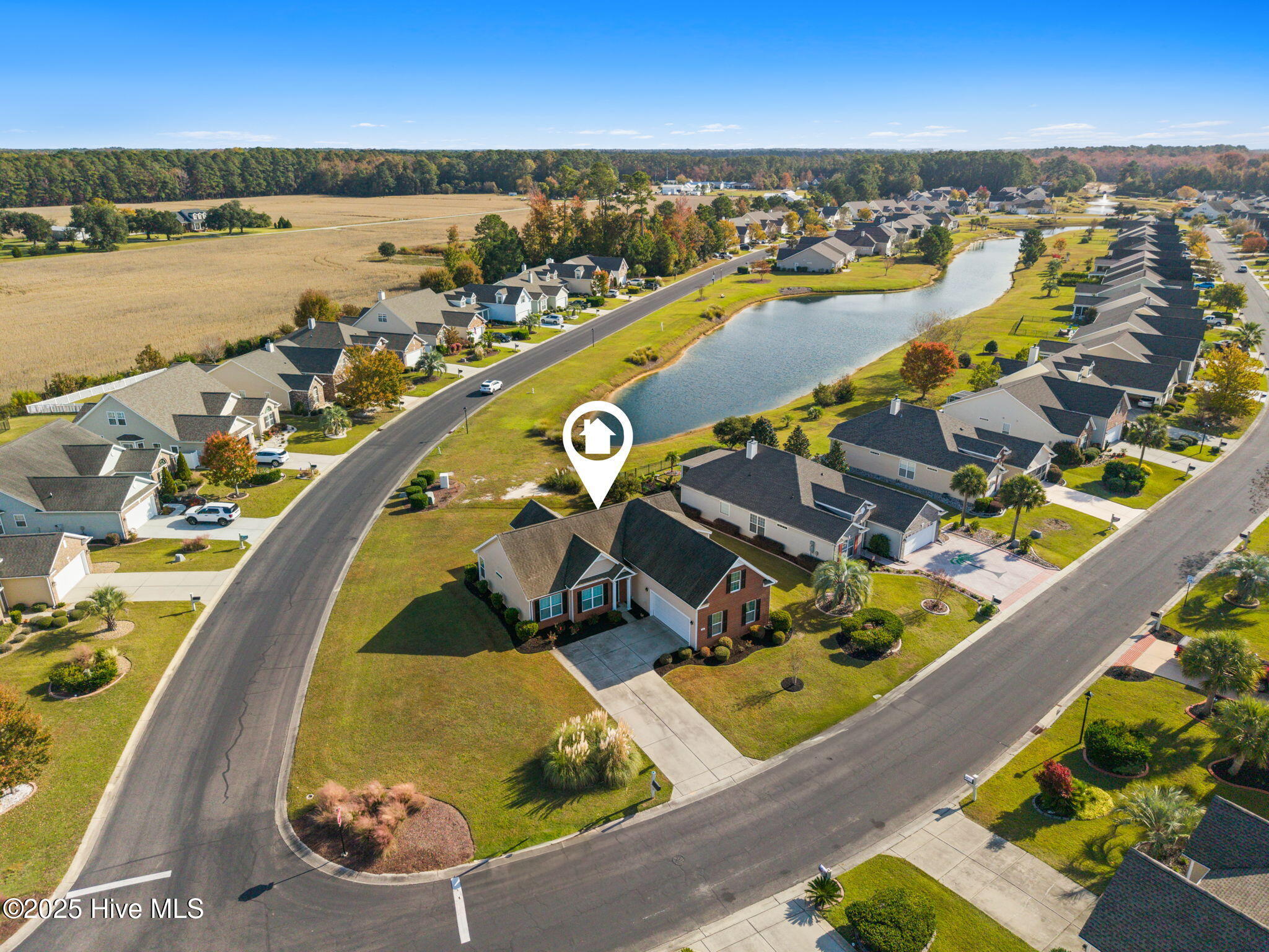 100540486 | Photo 42