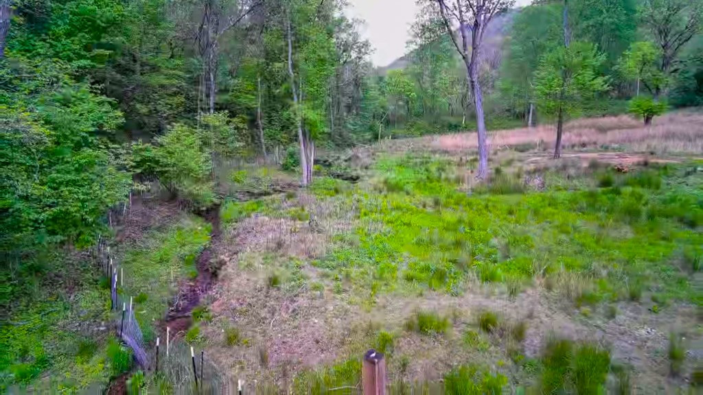 3325 Pack Mountain Road, Murphy, NC 28906 Listing Photo  65
