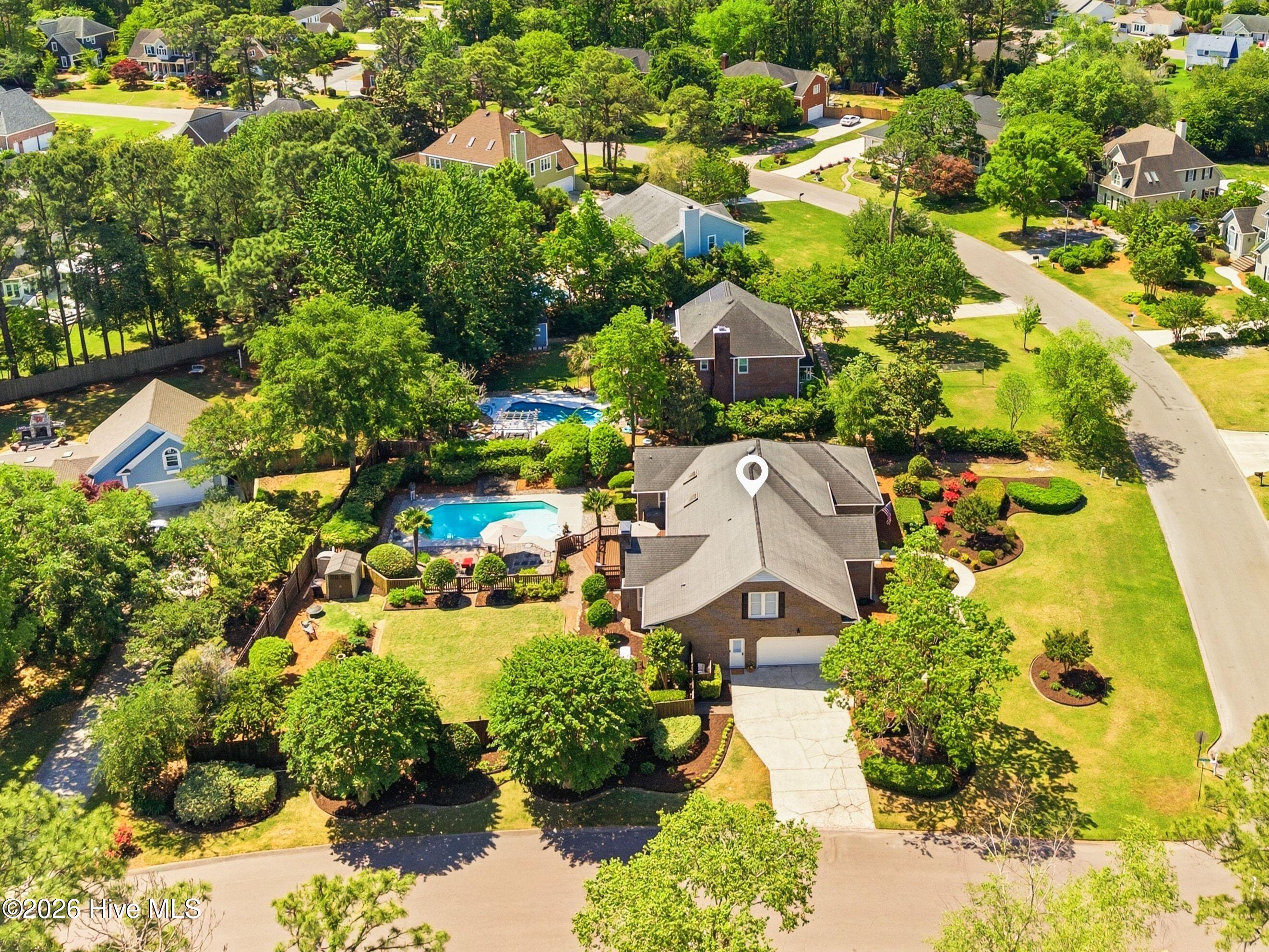 100568689 | Photo 51