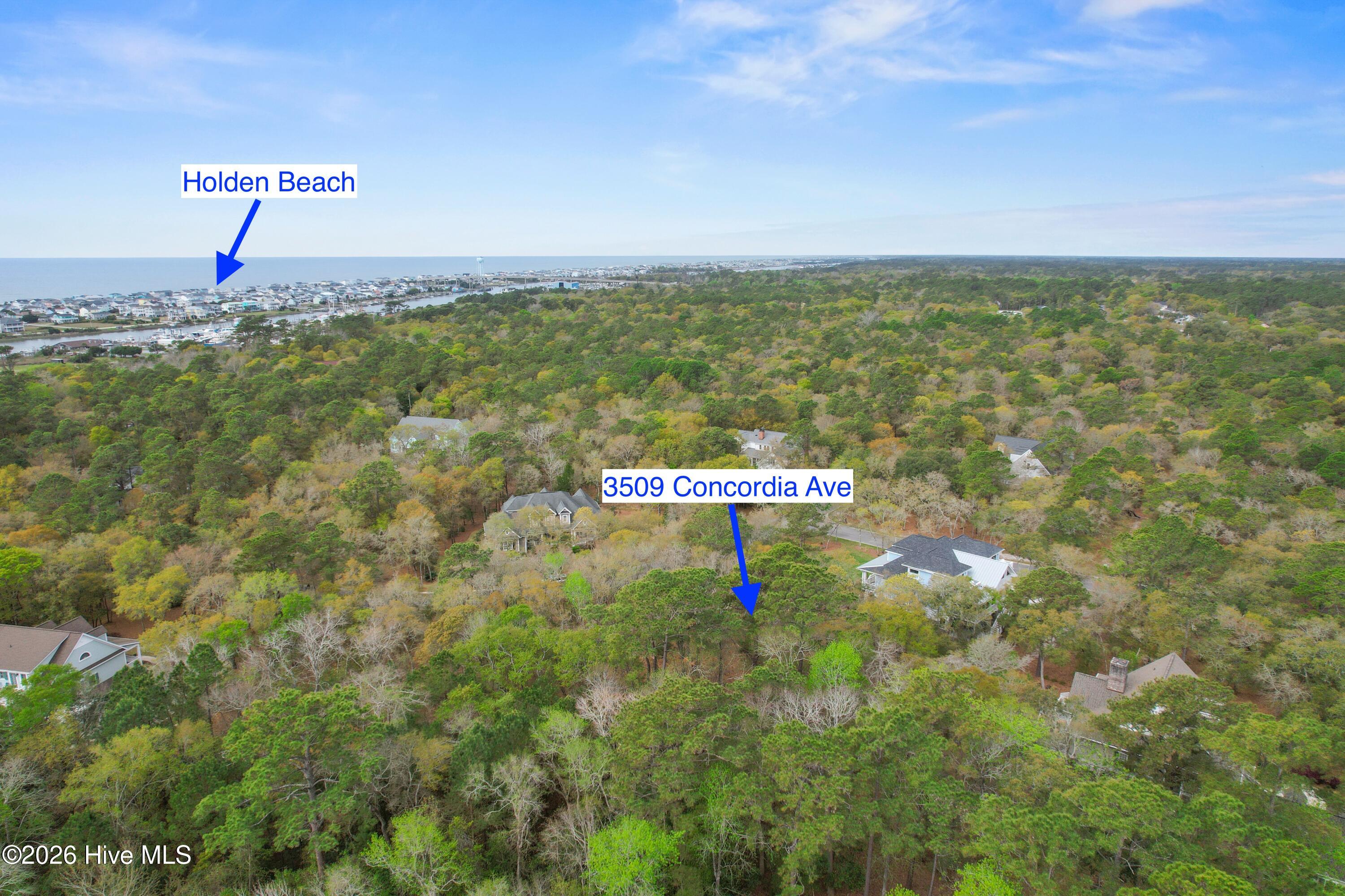 100567626 | Photo 12