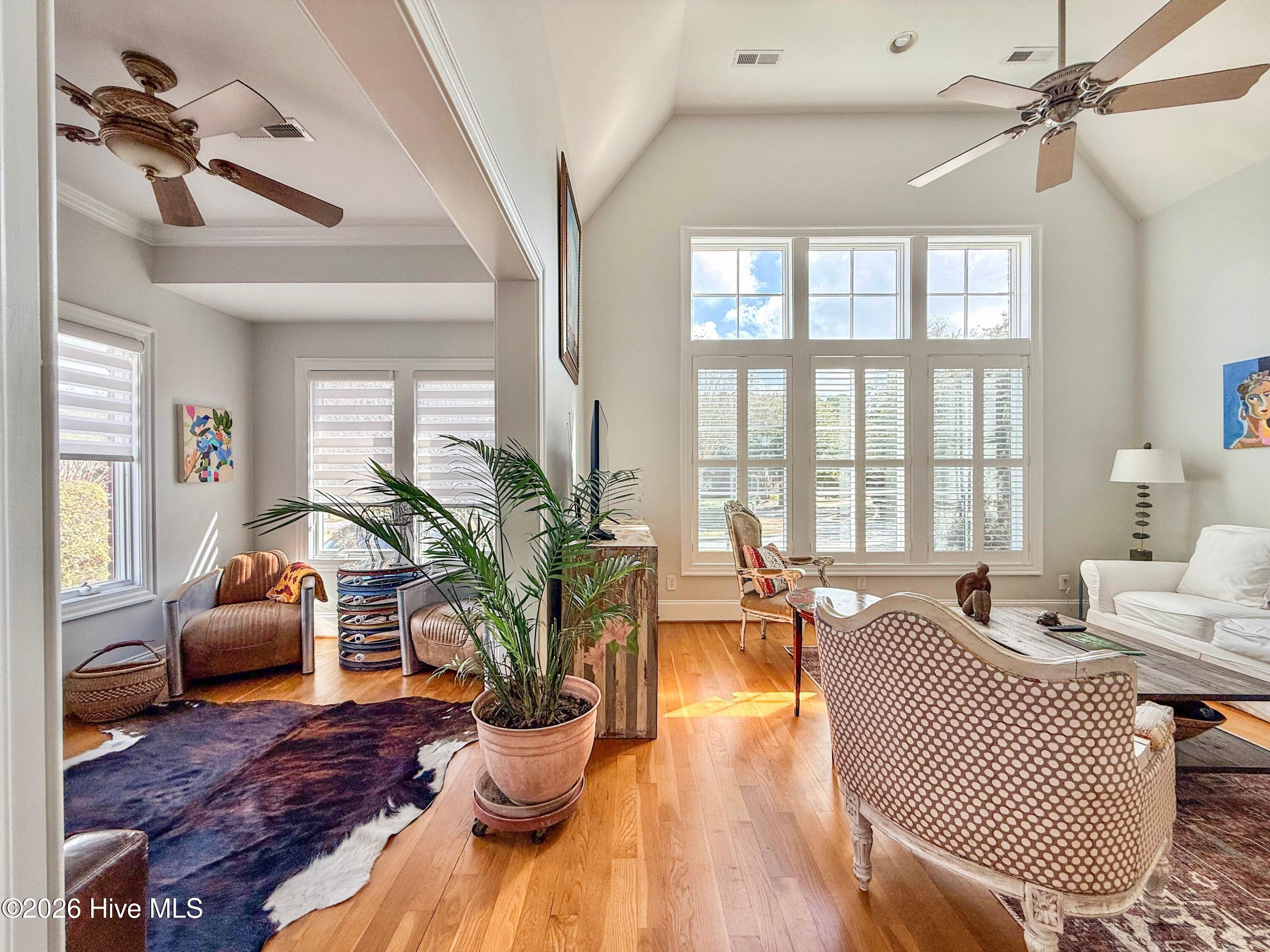 100559415 | Photo 22