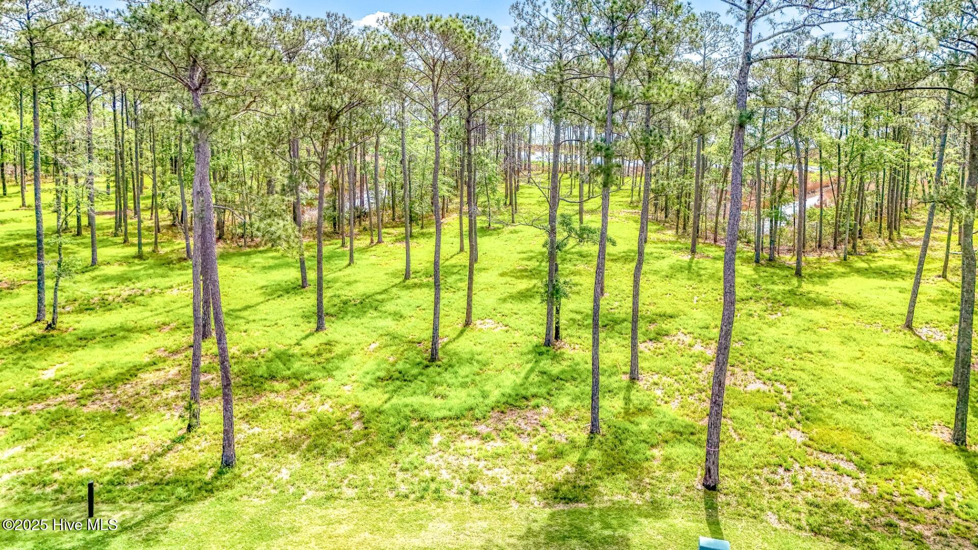 203 River Watch Road, Oriental, NC, 28571