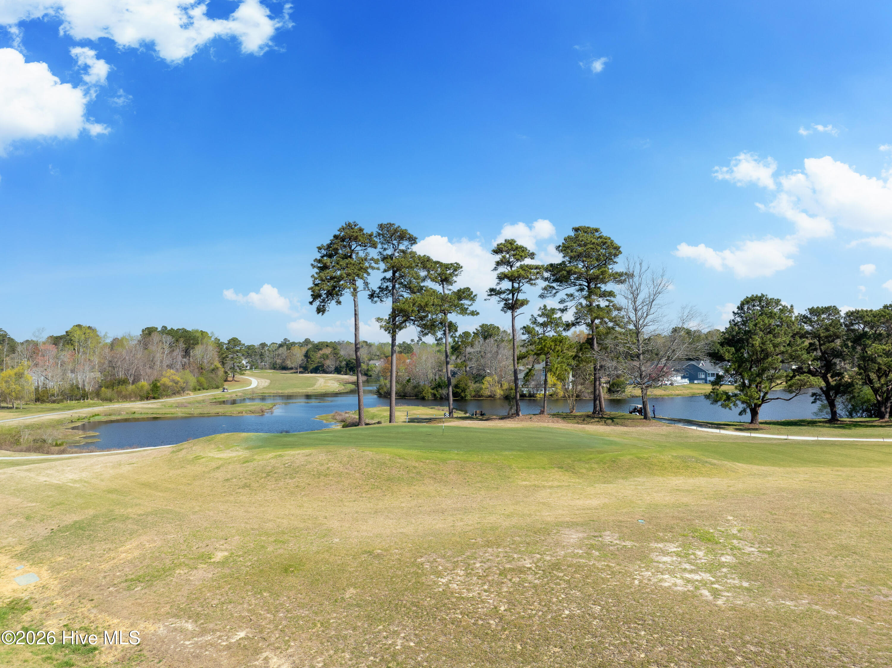 100563536 | Photo 32