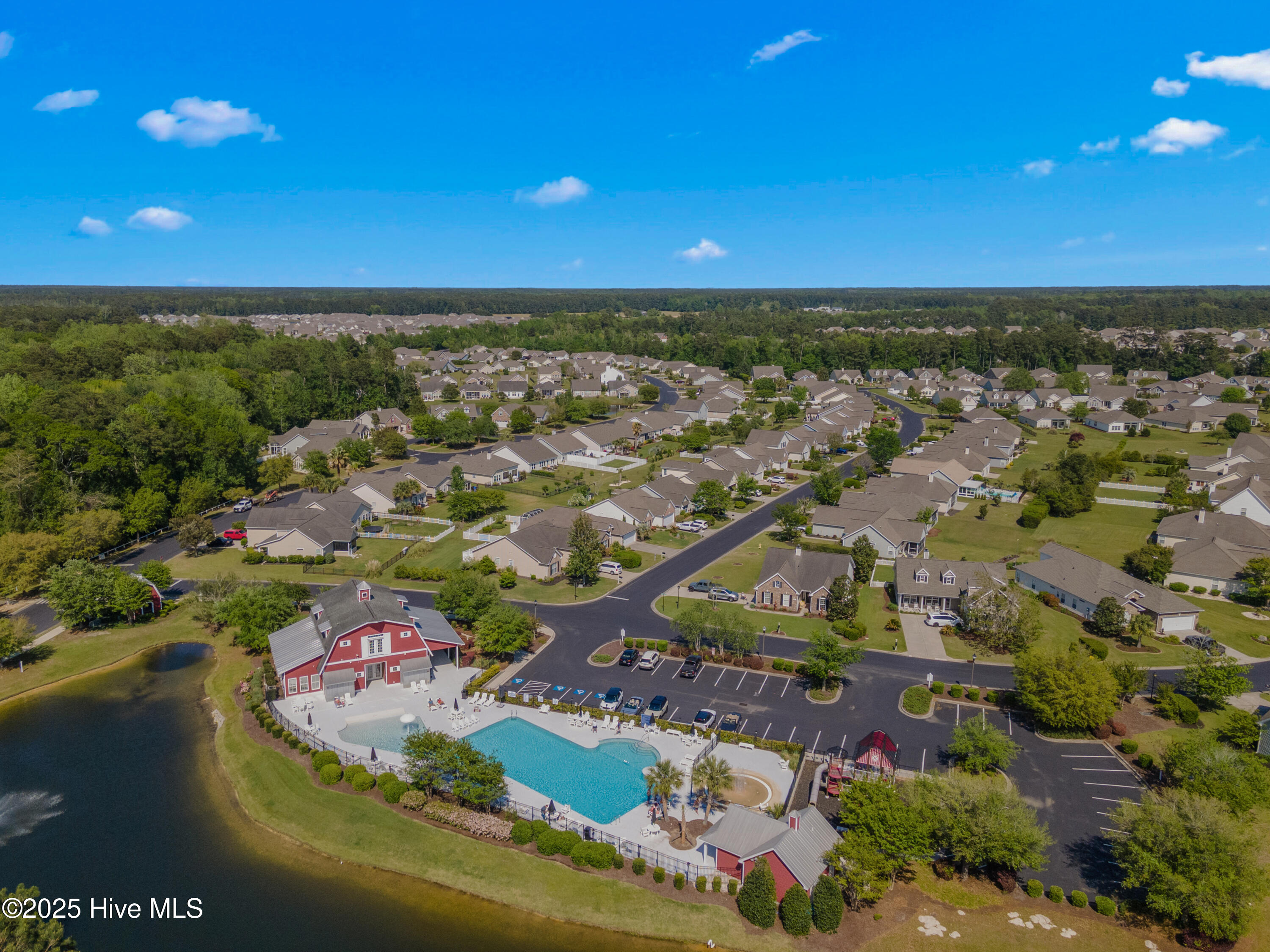 100502471 | Photo 41