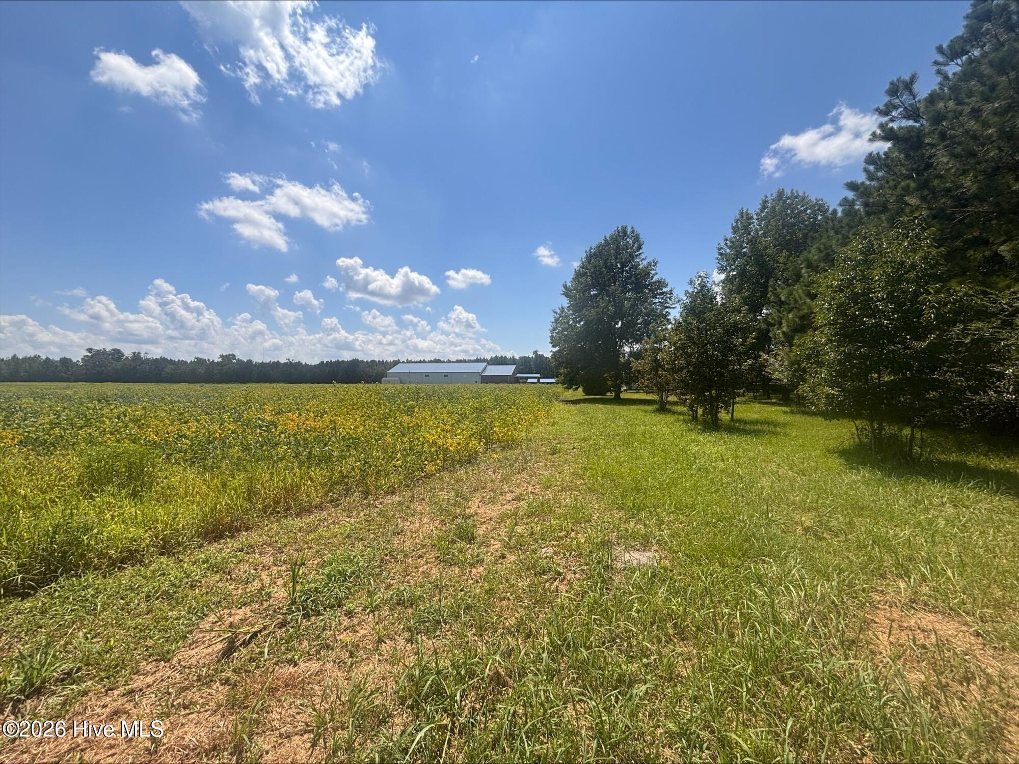 4th image of 5369 Weyerhaeuser Rd, Ayden, NC 28513 | MLS# 100597879