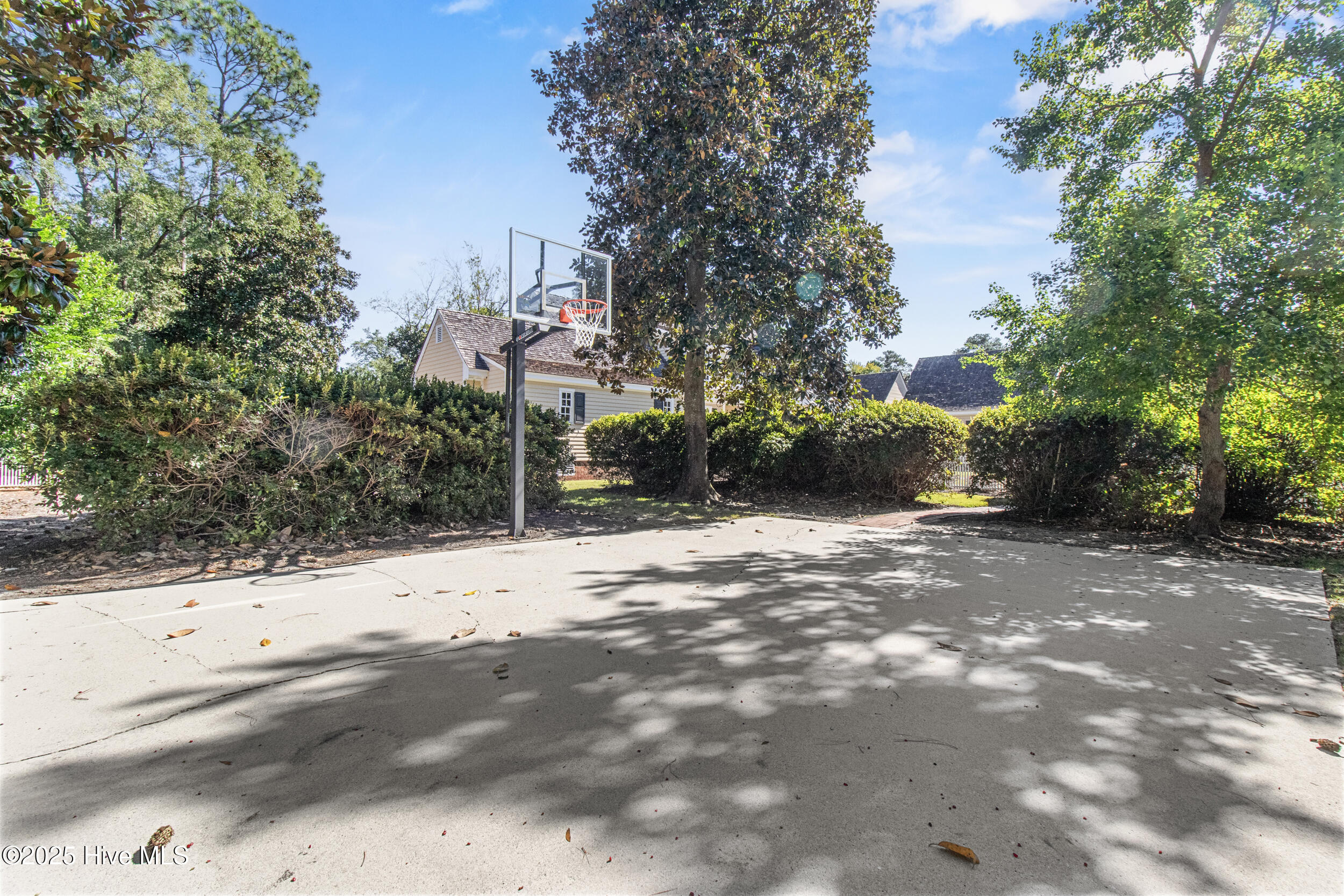 100537664 | Photo 77