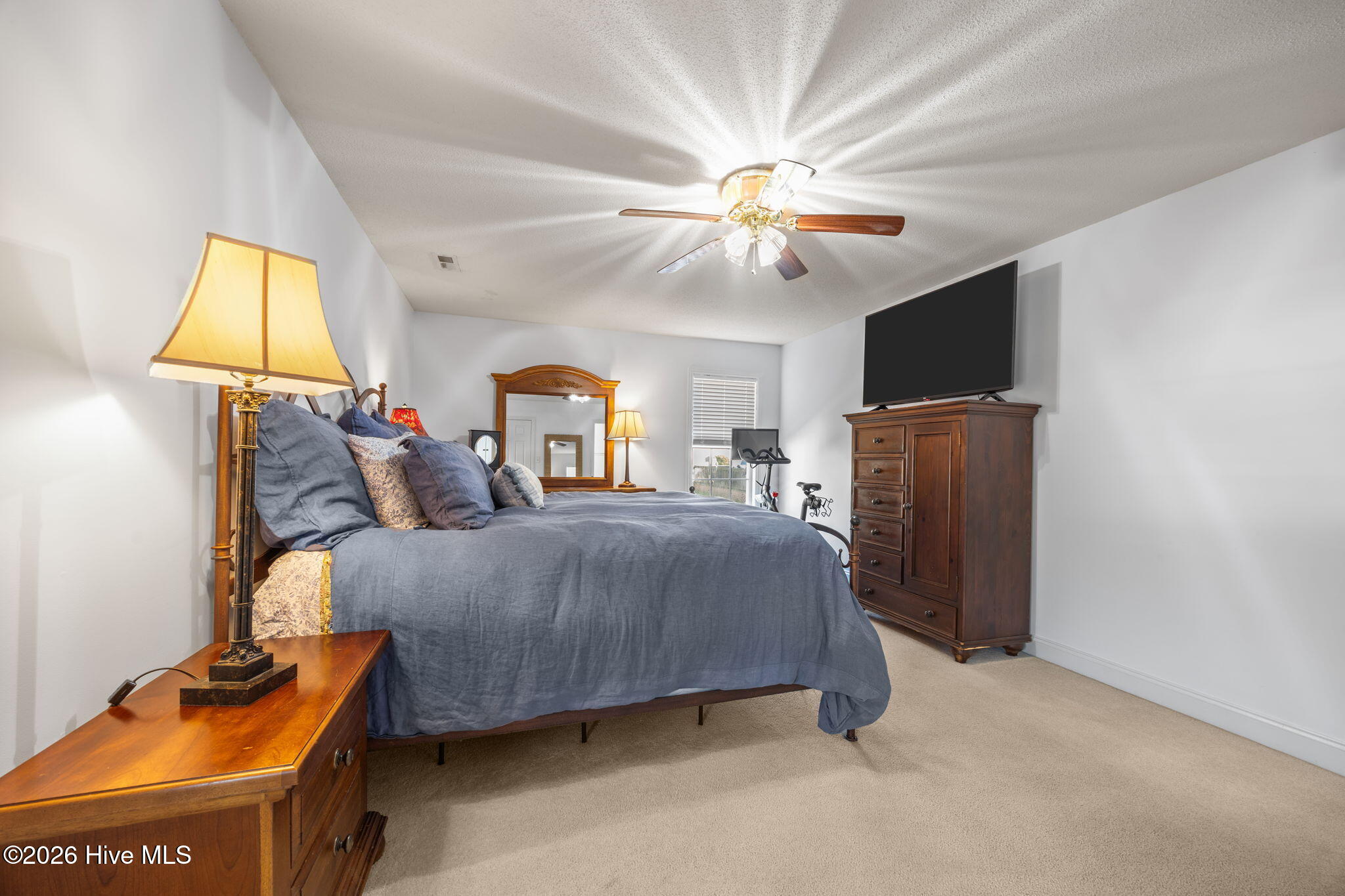 100559143 | Photo 18