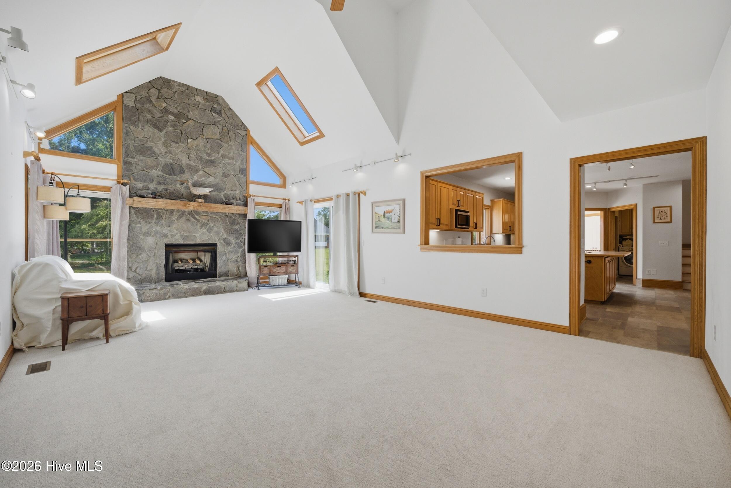 Brand new carpet here!