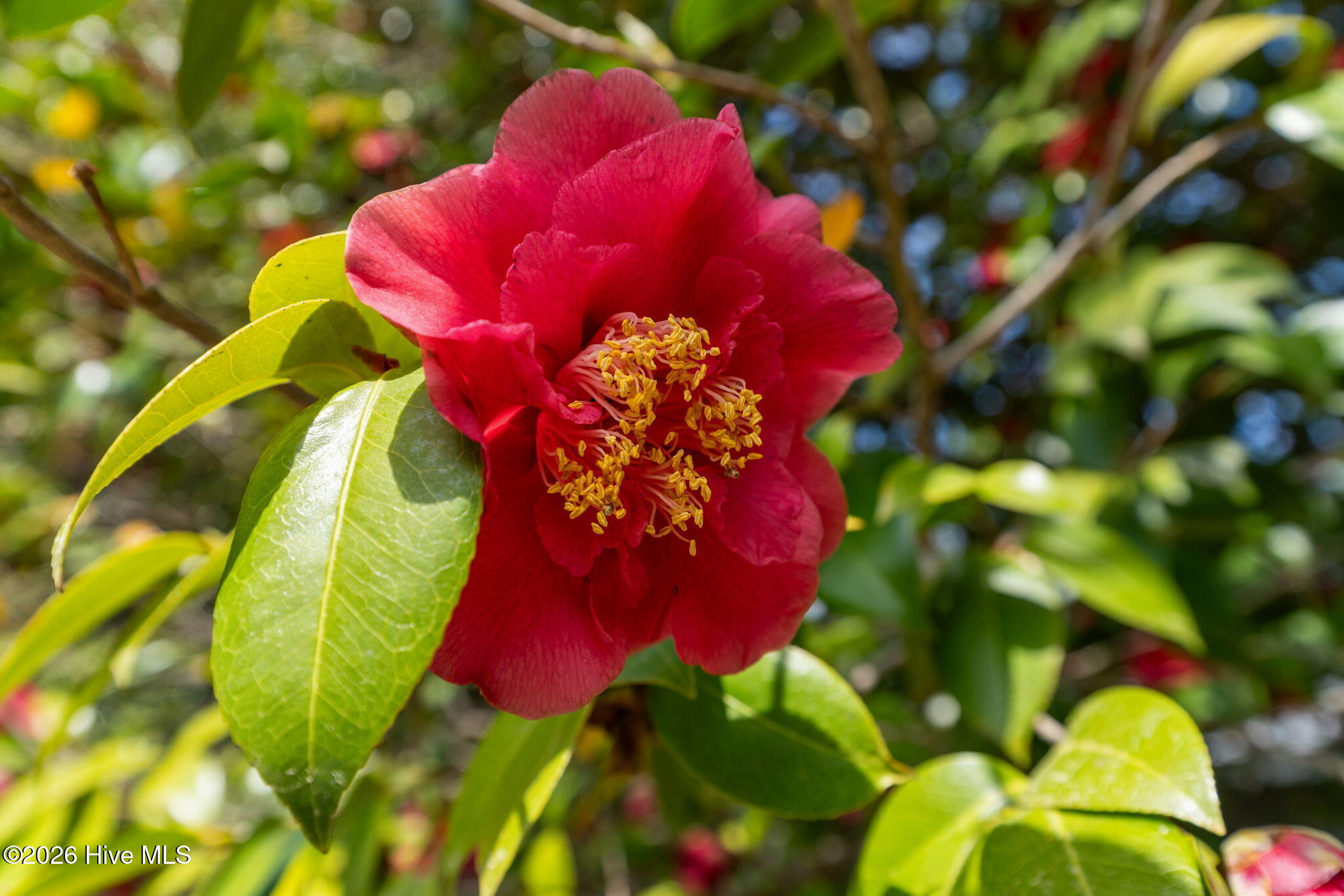 100565544 | Photo 28