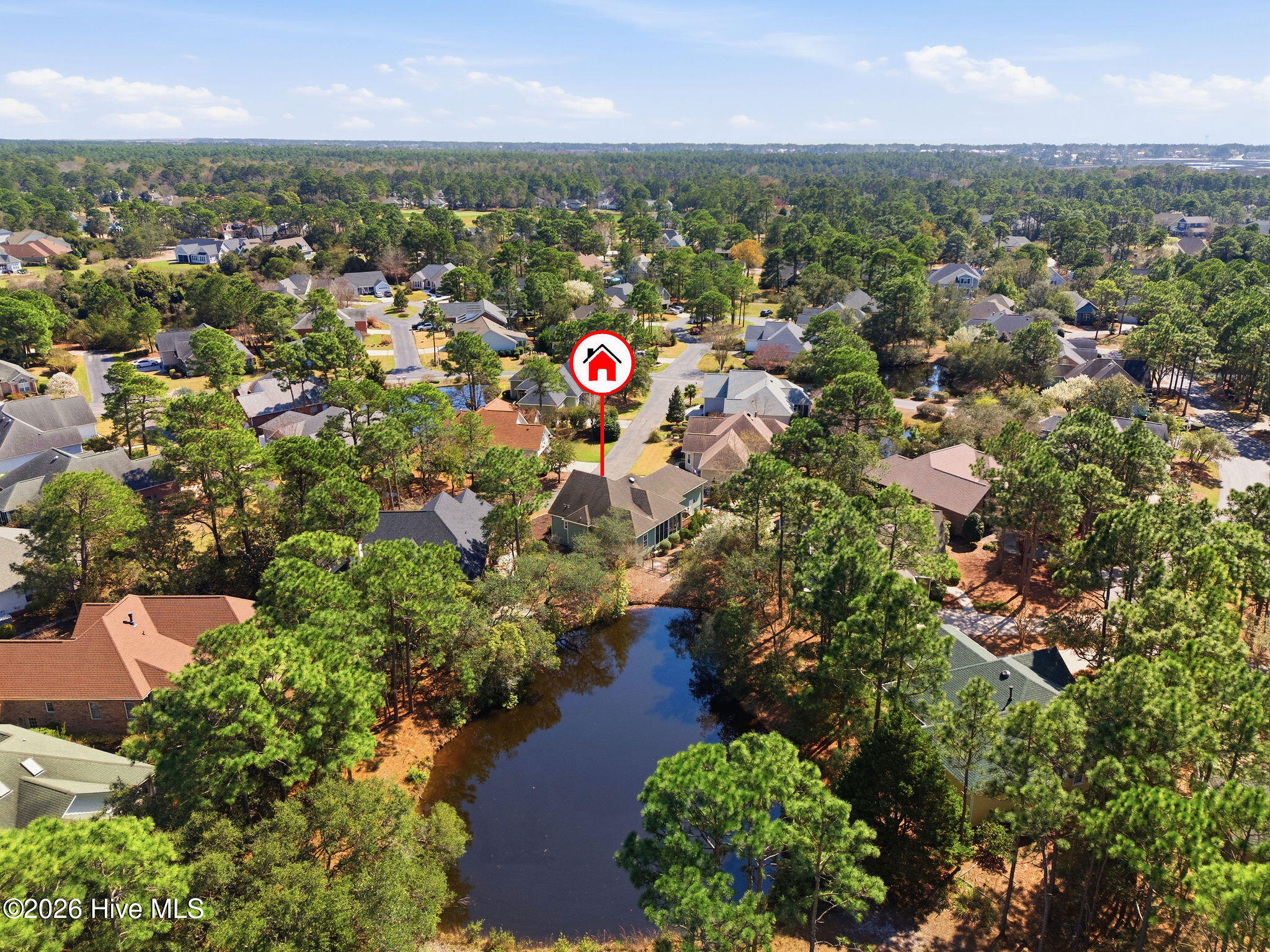 100560993 | Photo 45